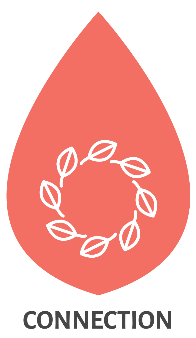 Connection Icon Coral-01.png