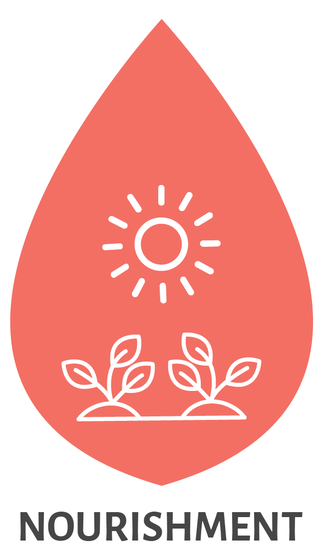 Nourishment Icon Coral-02.png