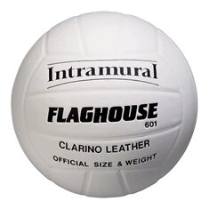 FlagHouse+Intramural+Series+Composite+Volleyball_P.jpg