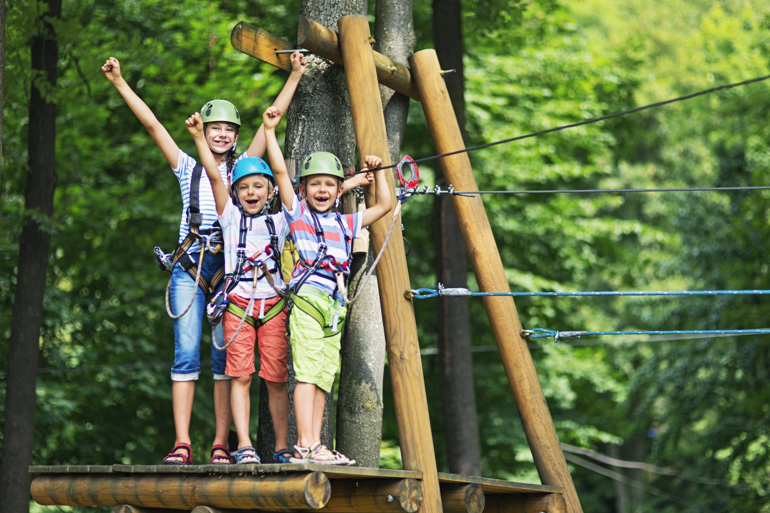 Young%20Girl%20and%20Boys%20at%20Outdoor%20Zipline%20Smiling%20with%20Arms%20up%20in%20the%20Air_iStock.jpg