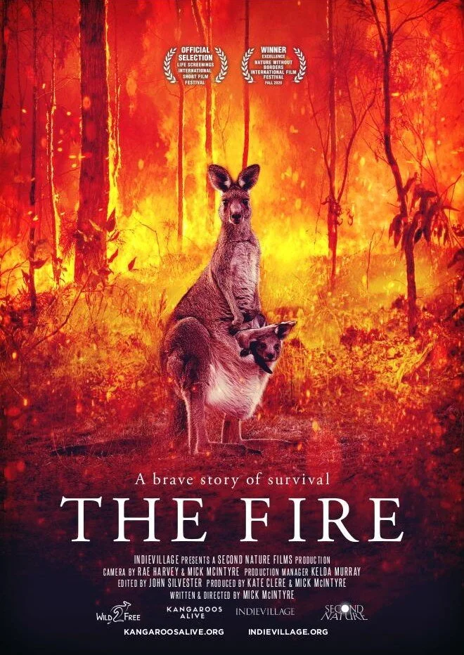 The Fire