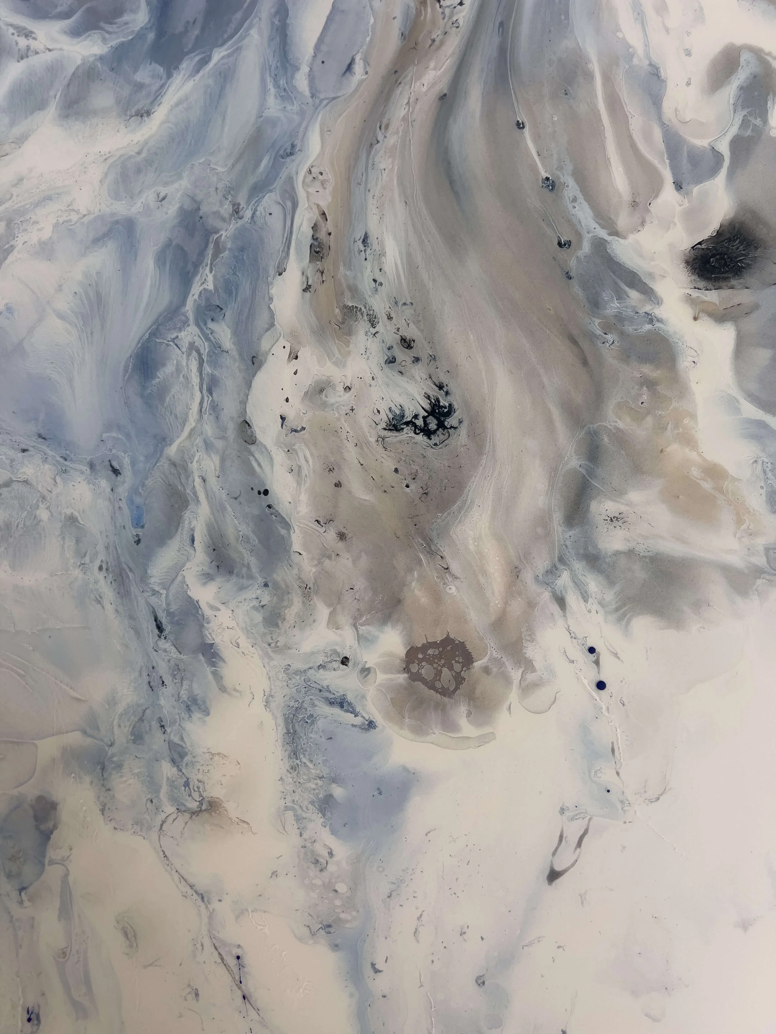 Stephanie-Vallieres_Artiste_Waterbird_40x60_2900_Zoom3.jpg