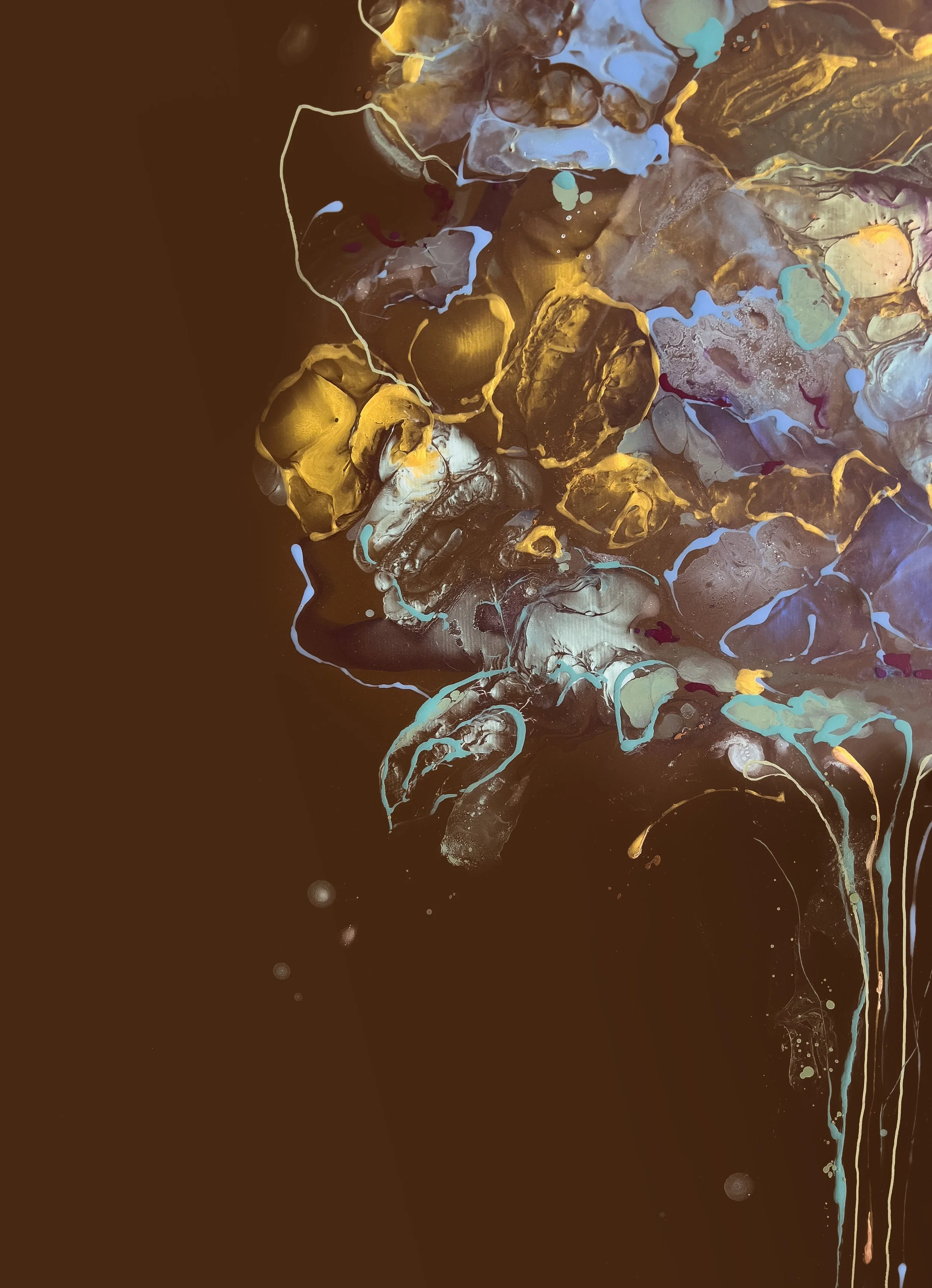 Stephanie-Vallieres_Artiste_Bloom2_36x40_Zoom2.jpg