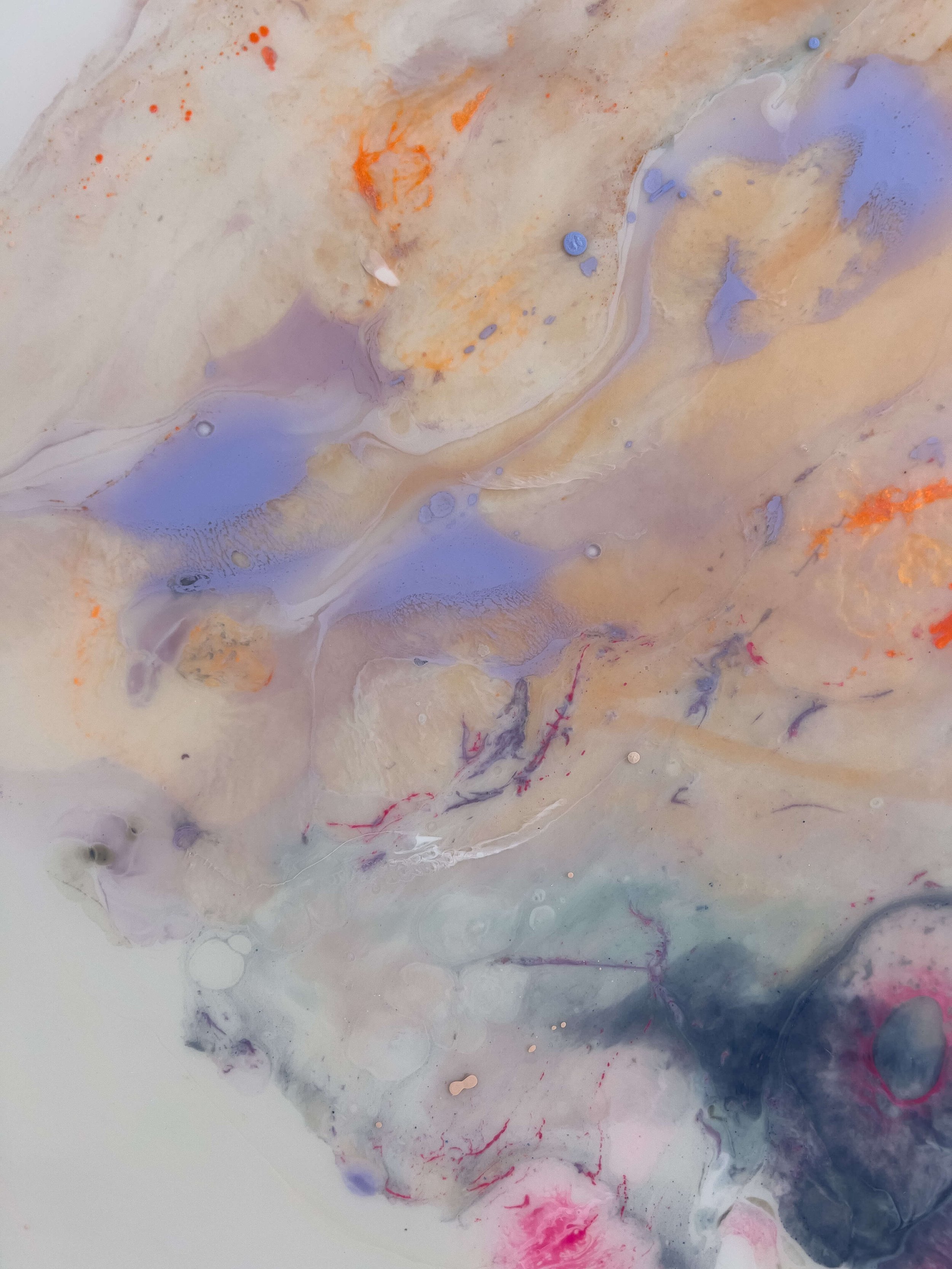 Stephanie-Vallieres_Artiste_A-fleur-de-mer-i_36x36_1900_Zoom2.jpg