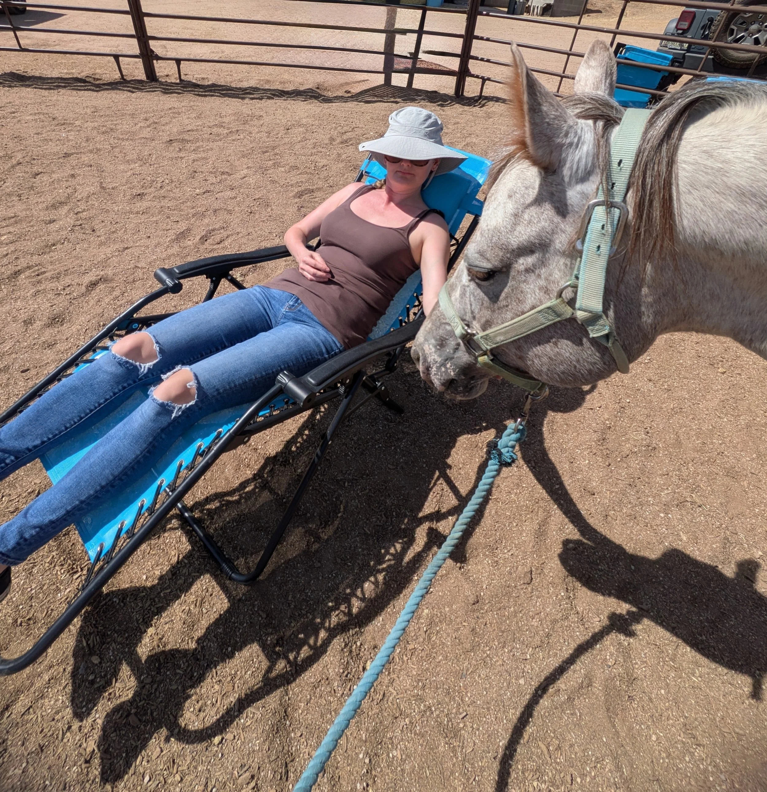 Equine Assisted Meditation