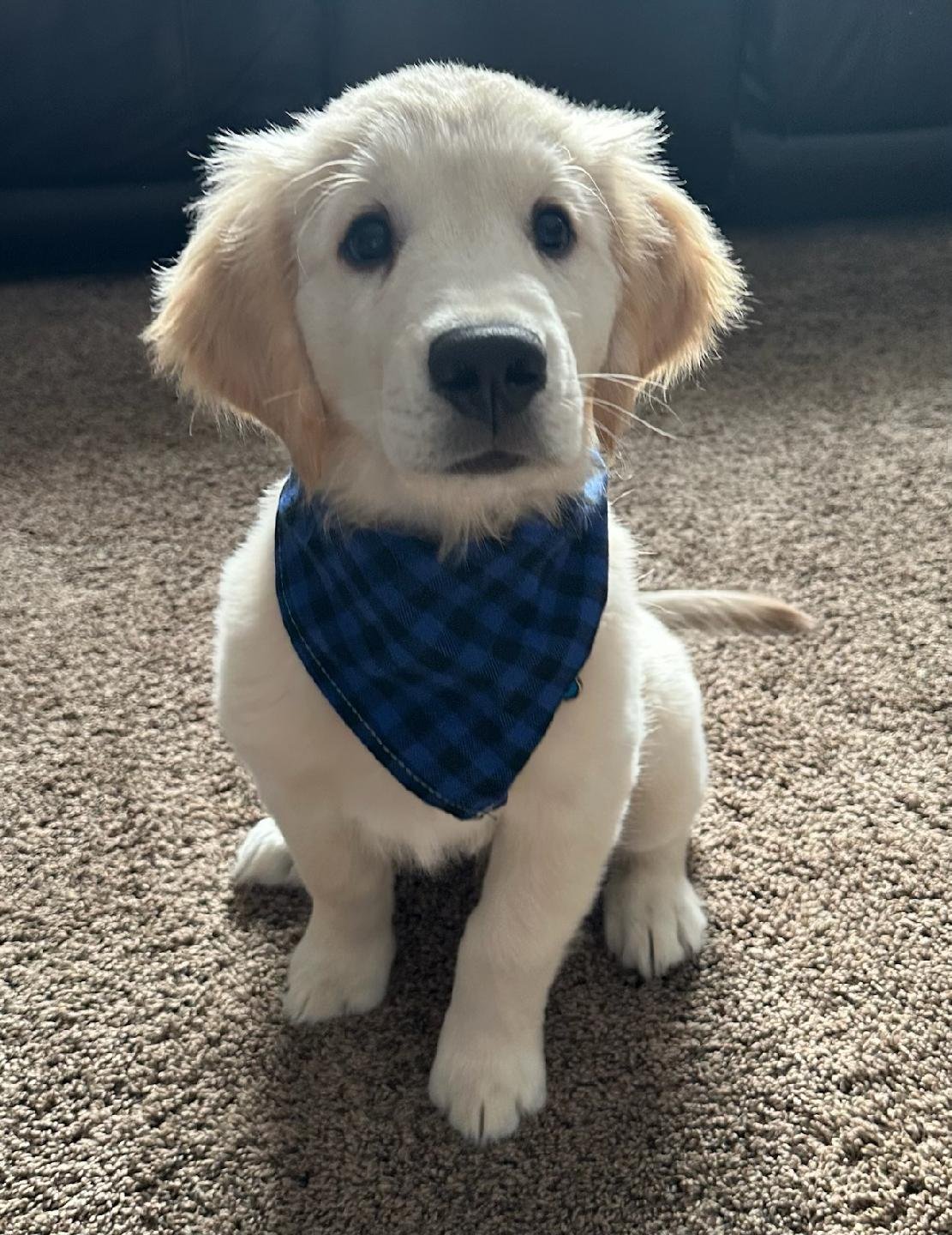 duke.jpeg