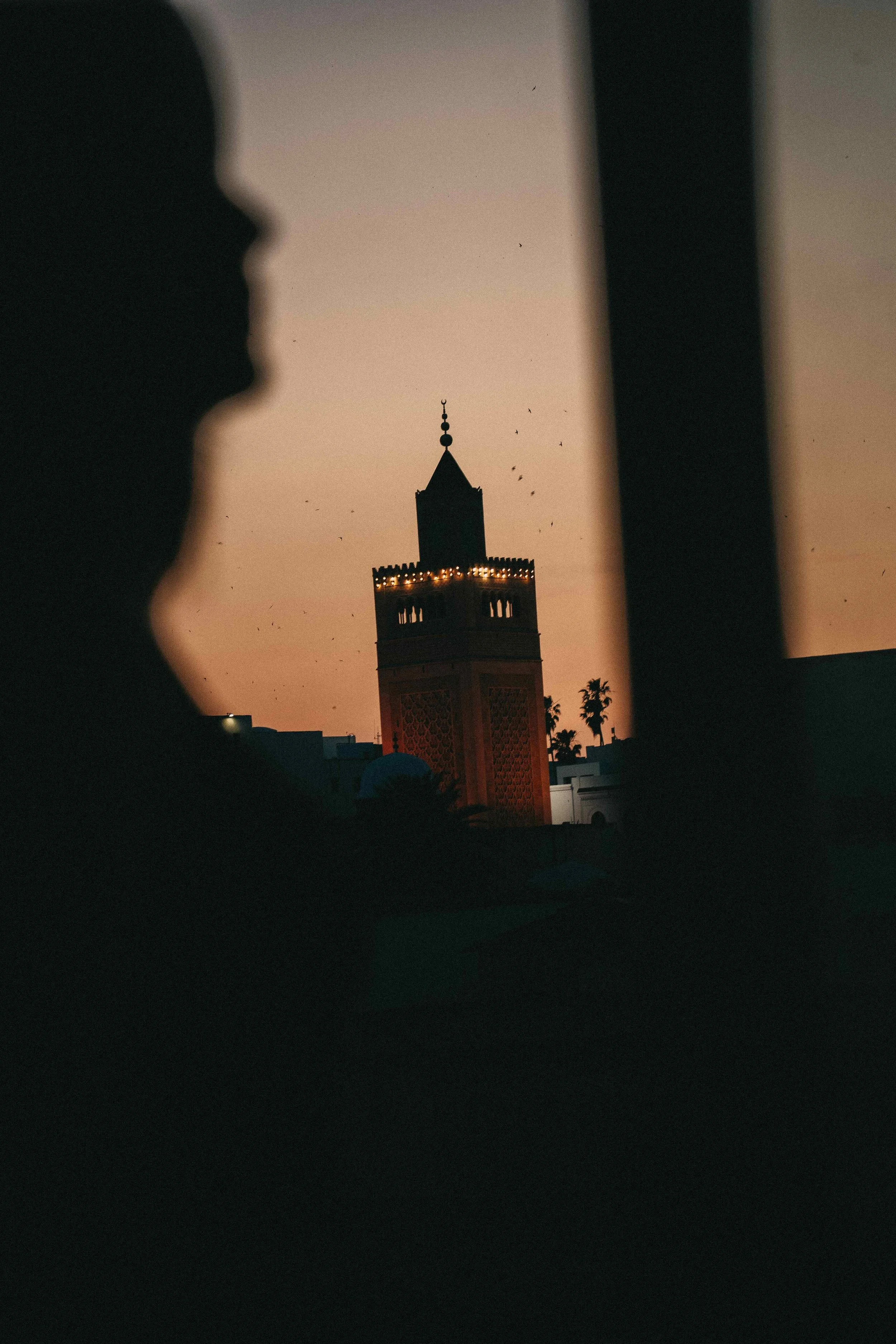 _DSC0830.jpeg