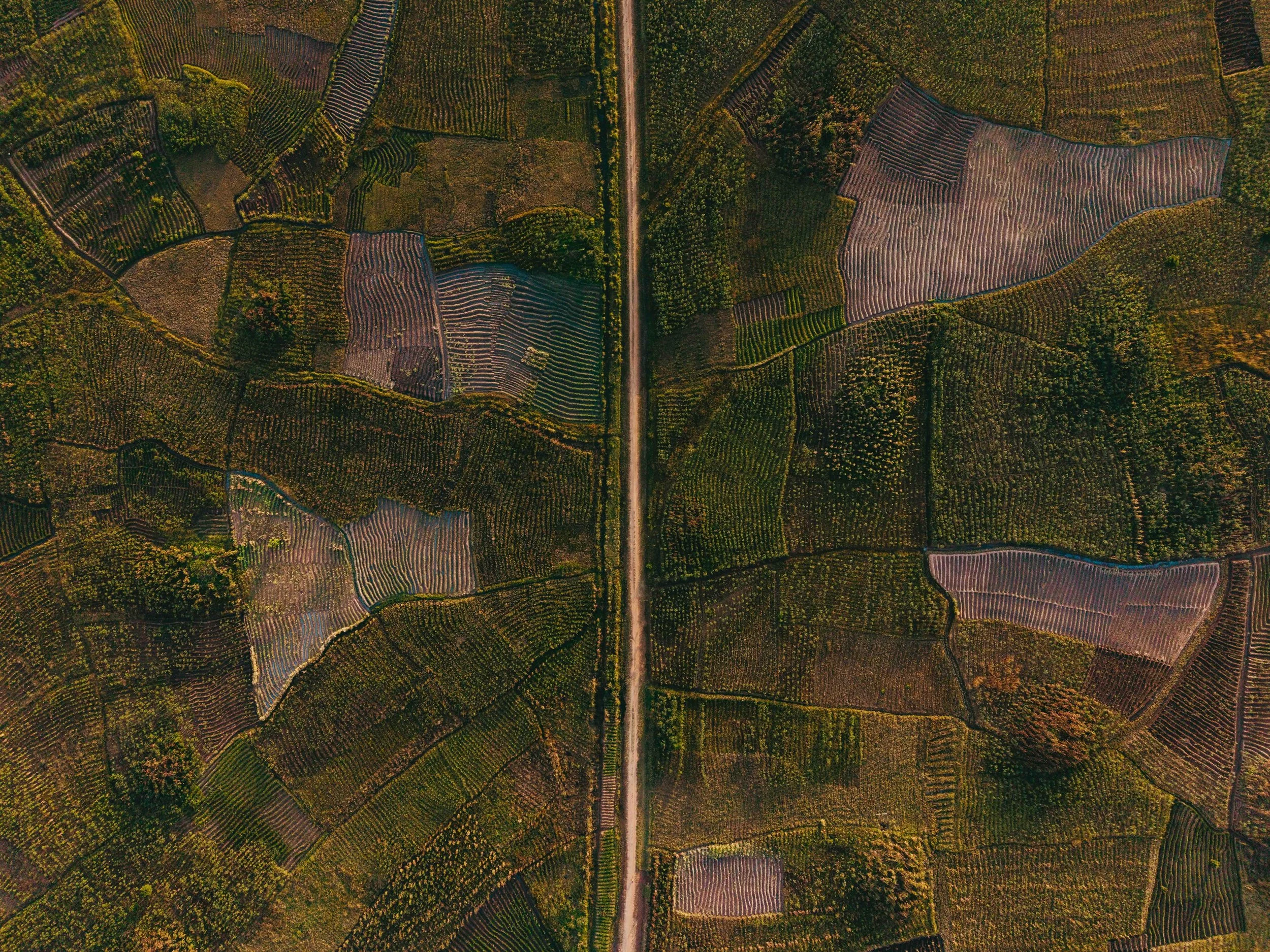 DJI_20250526164815_0156_D.jpeg