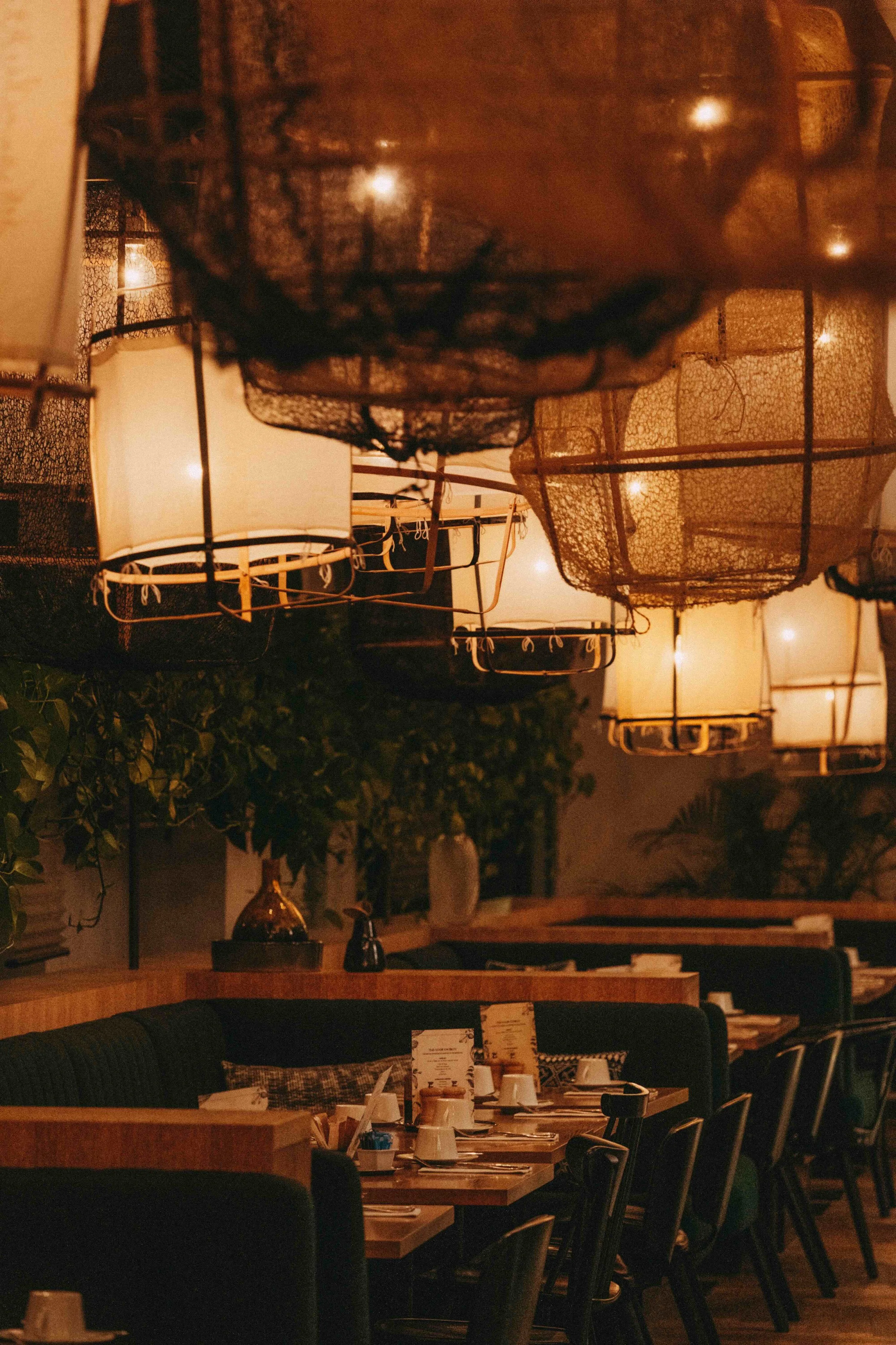 _DSC7573.jpeg