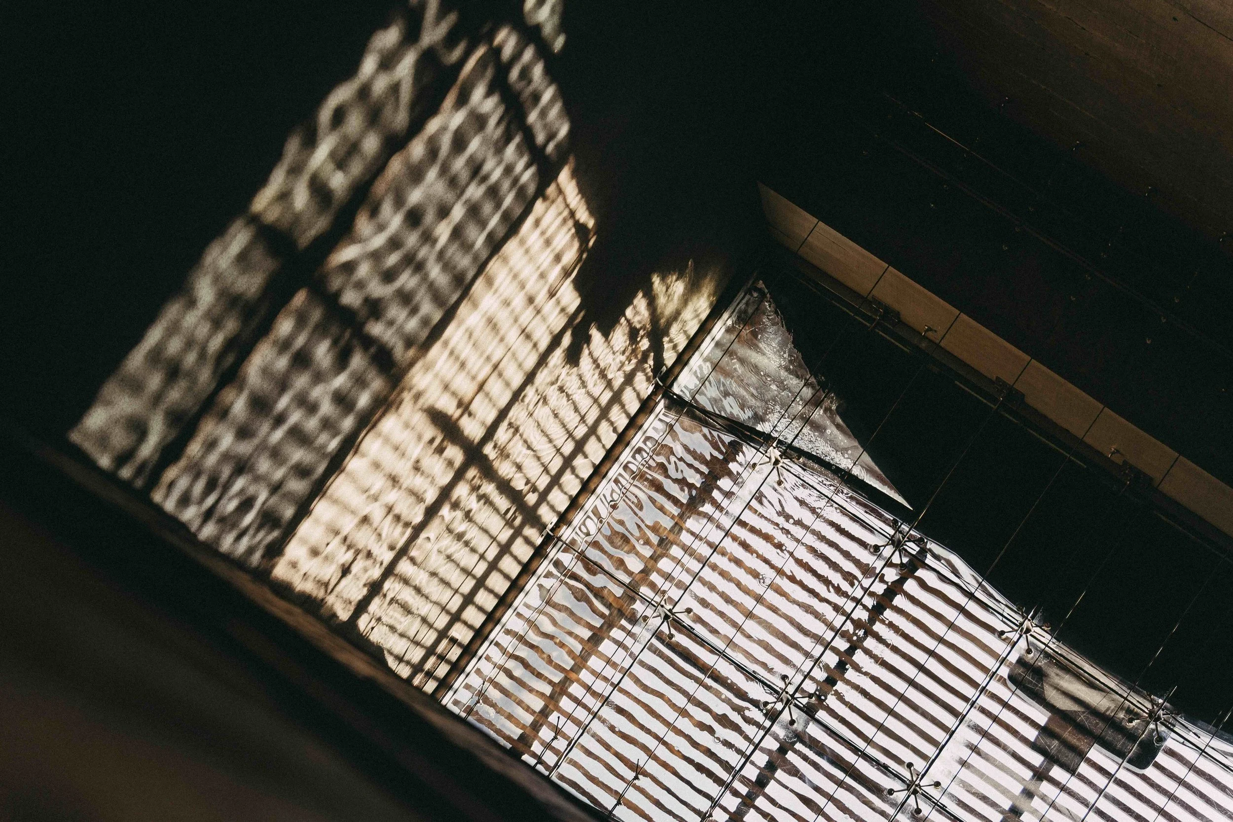 _DSC8139.jpeg