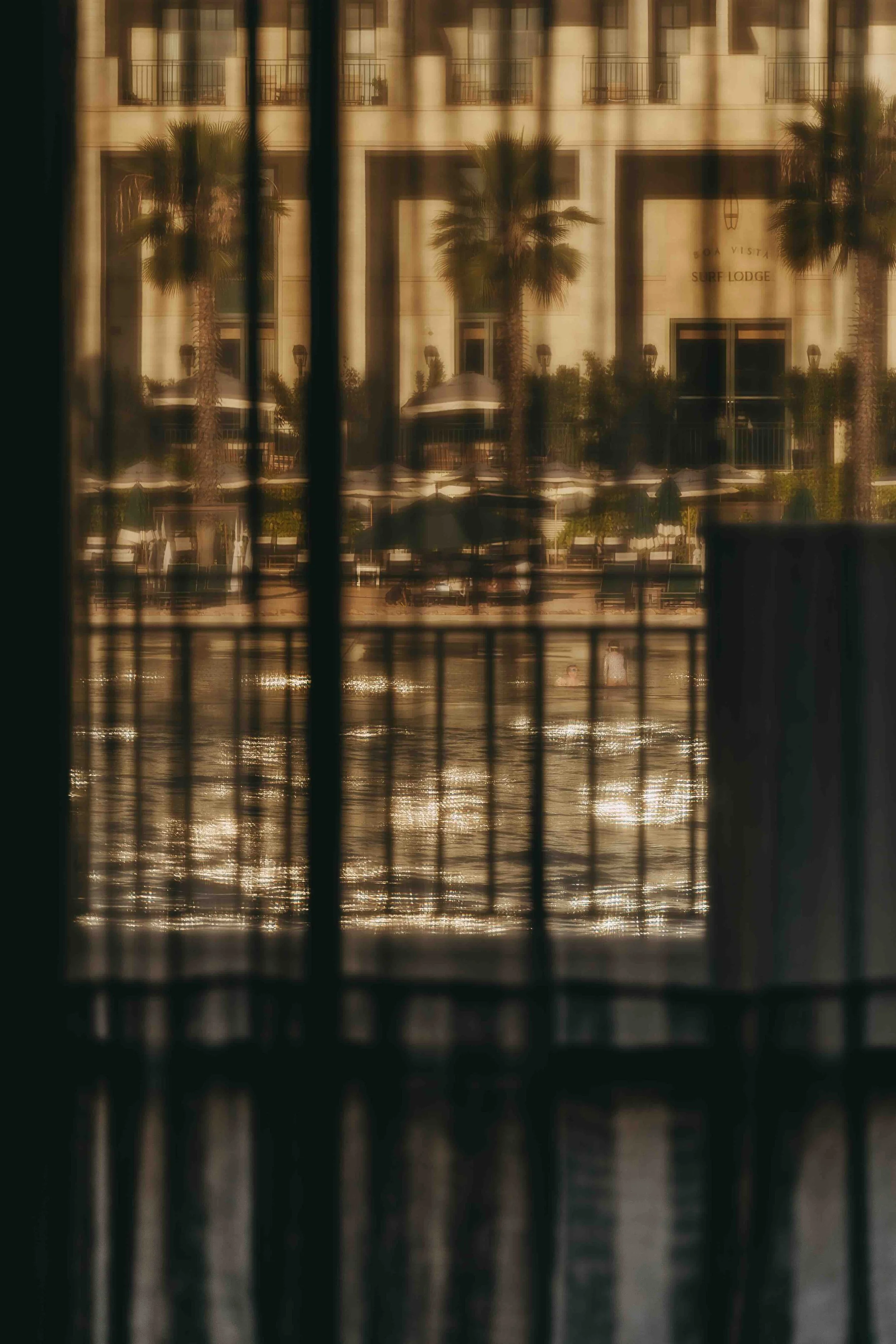 _DSC4653.jpeg