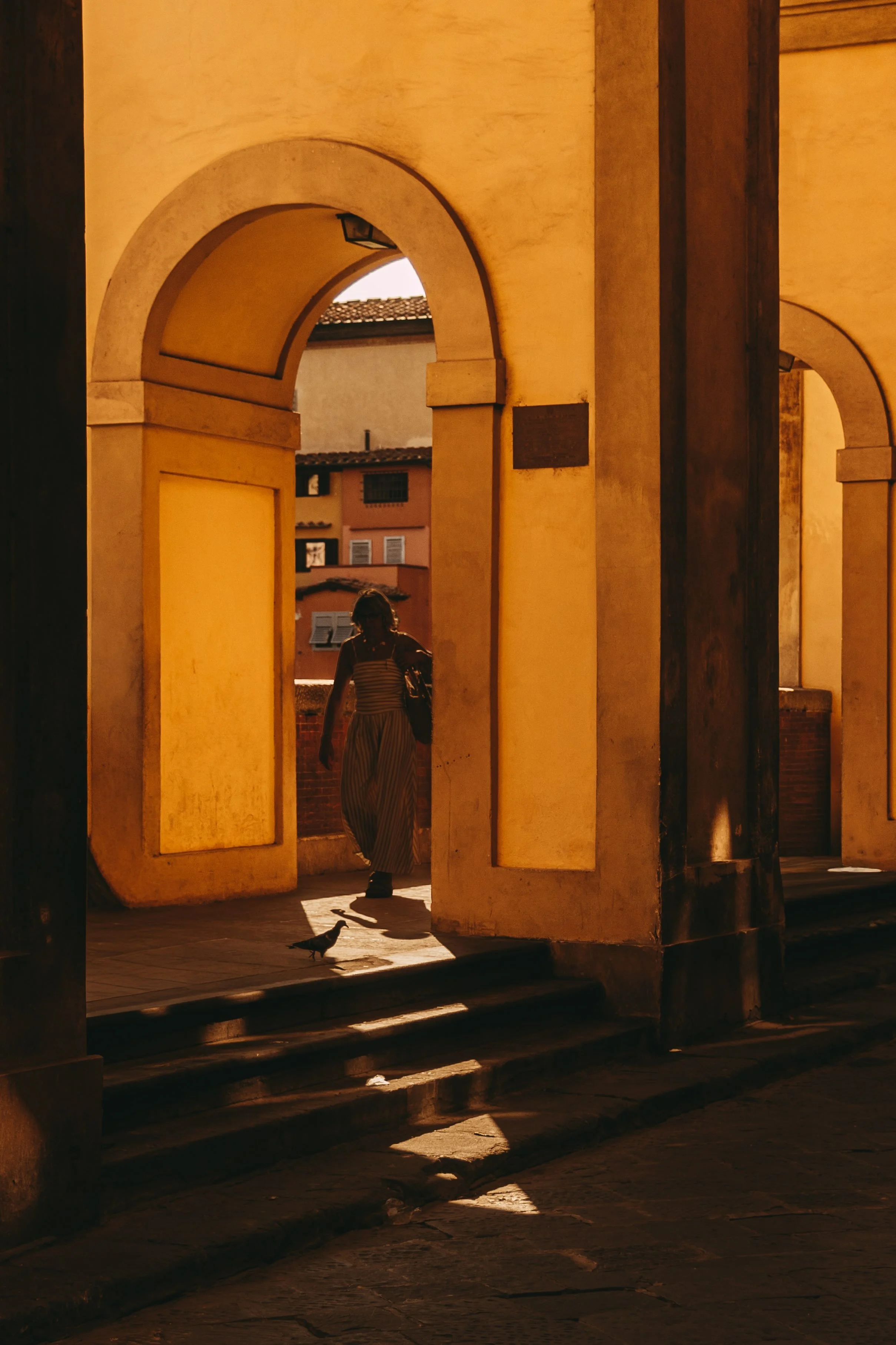 _DSC4849.jpeg