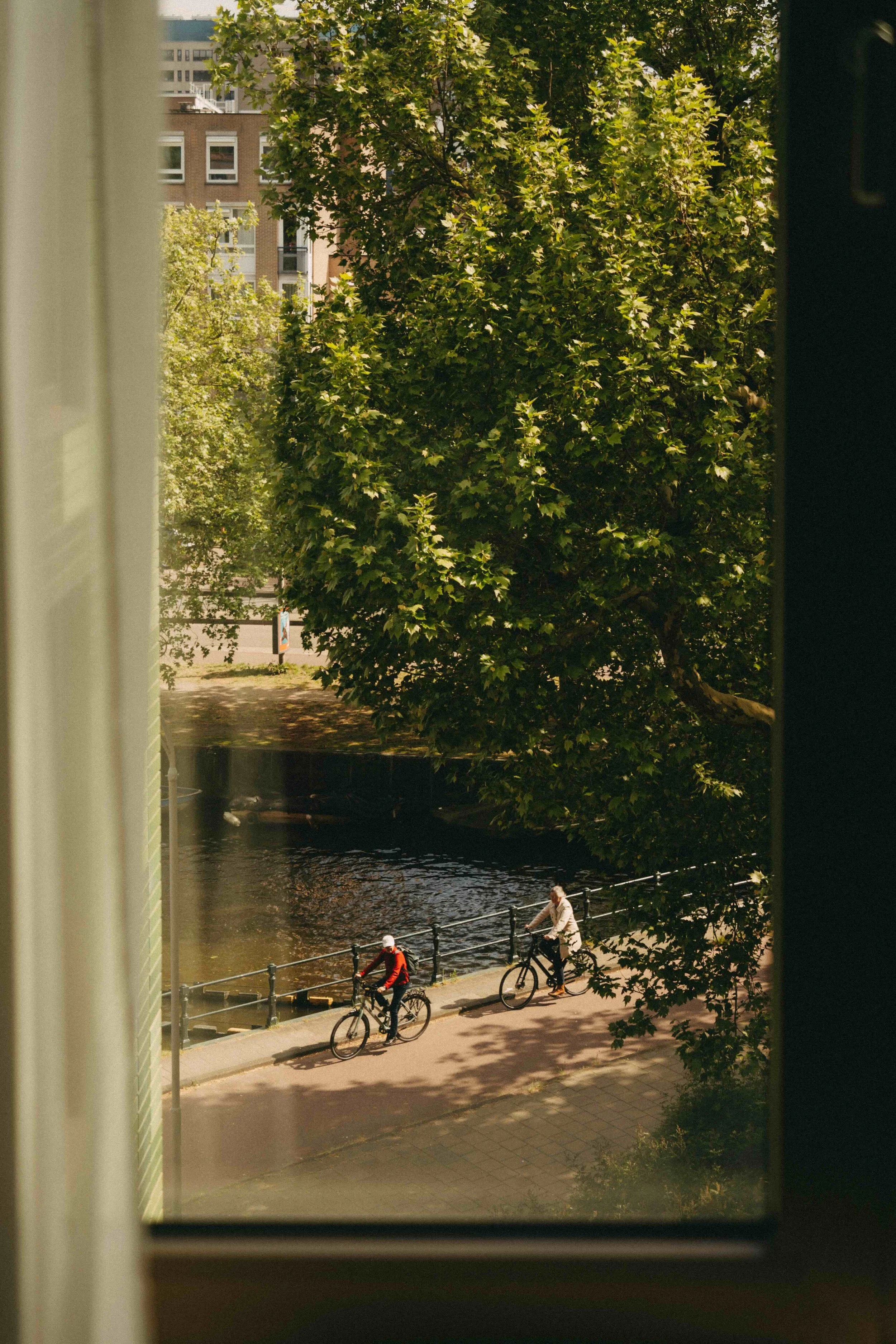 _DSC7507.jpeg