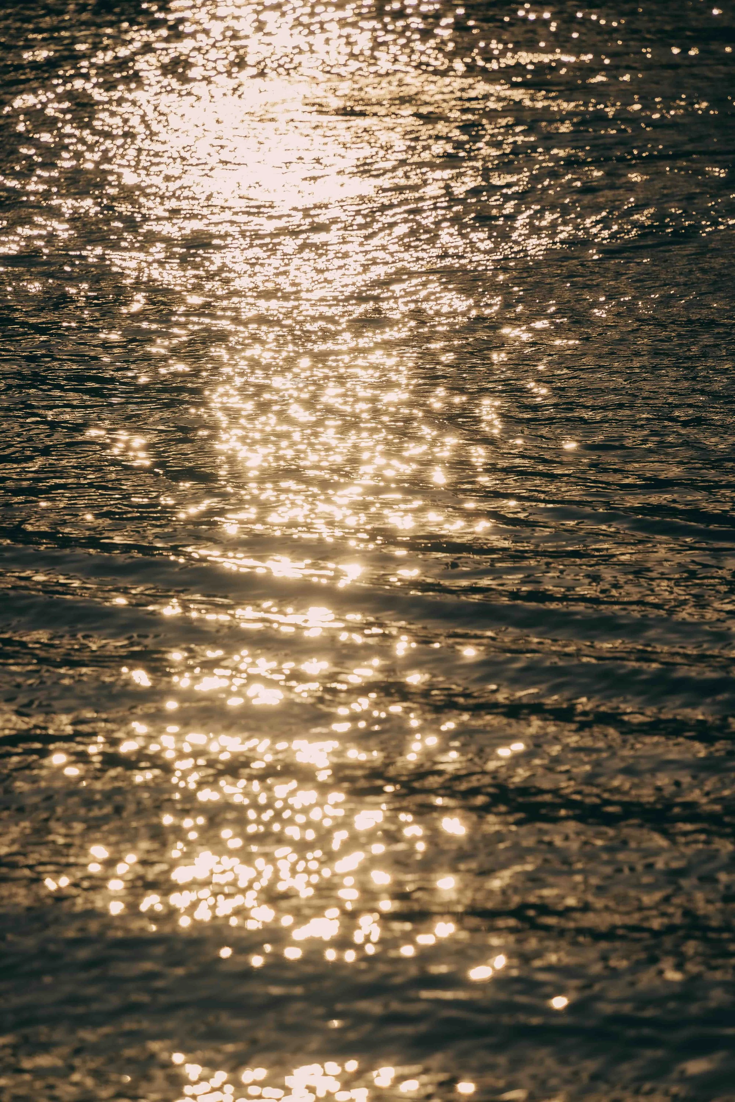 _DSC4666.jpeg