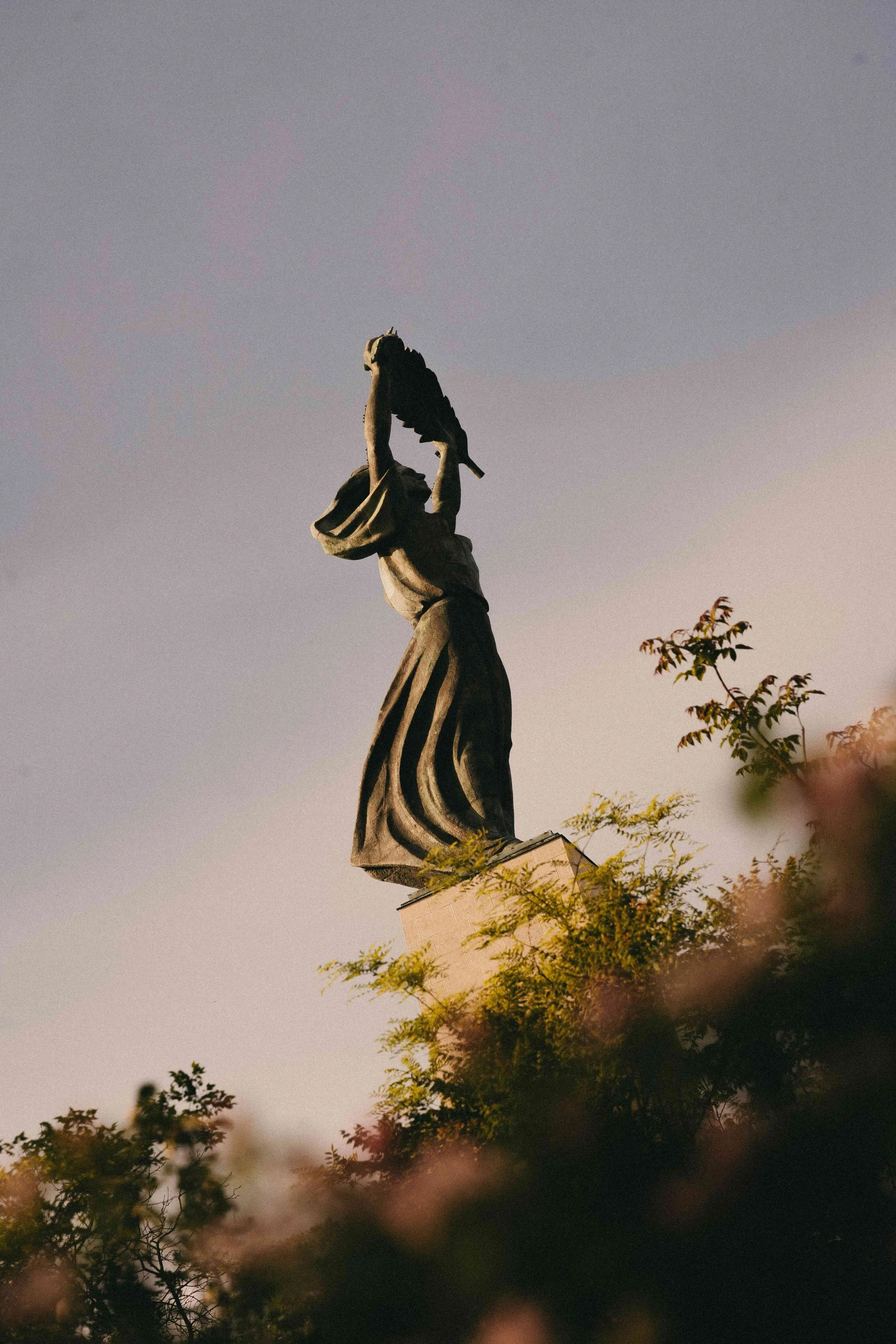 _DSC7047.jpeg