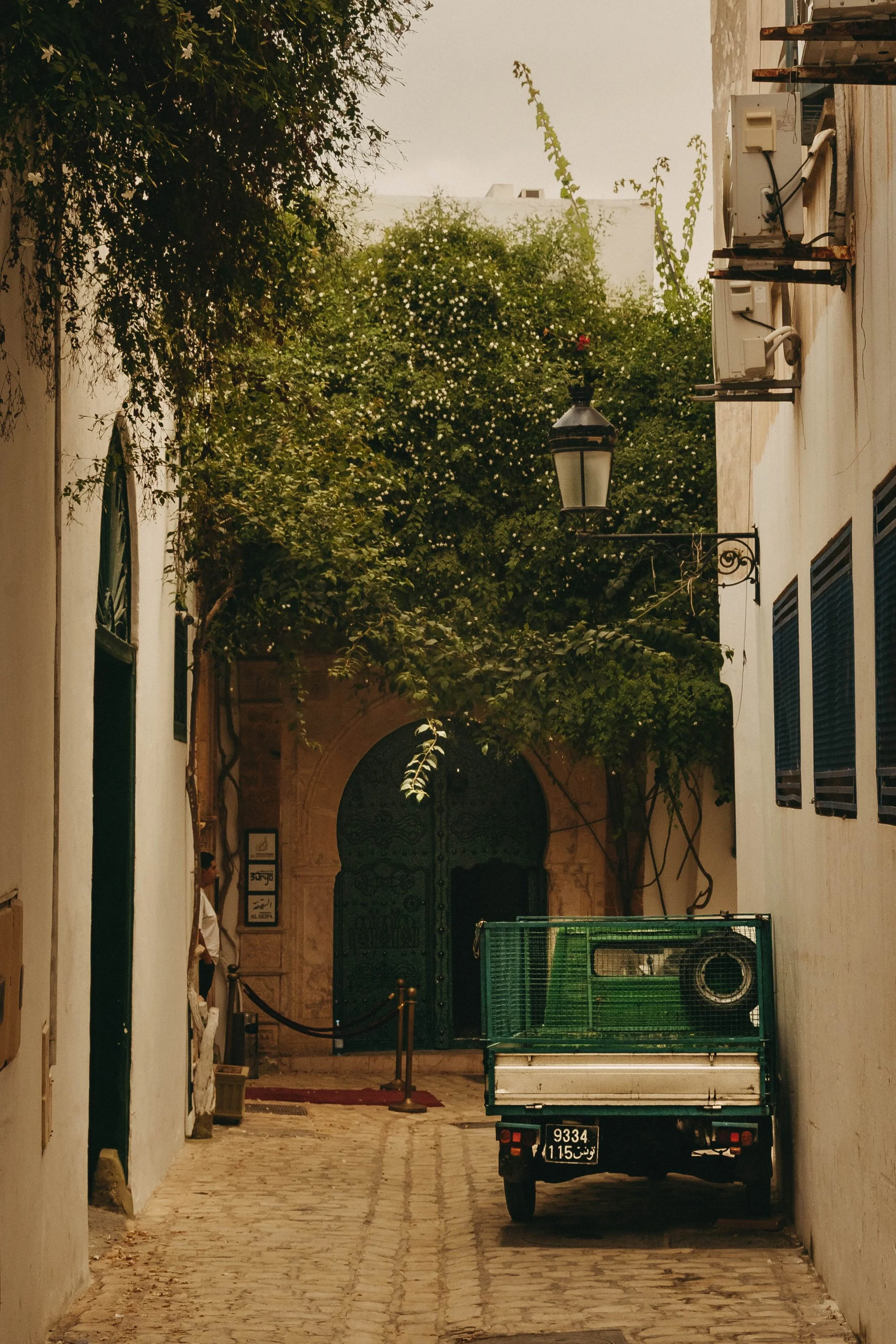 _DSC7345.jpeg
