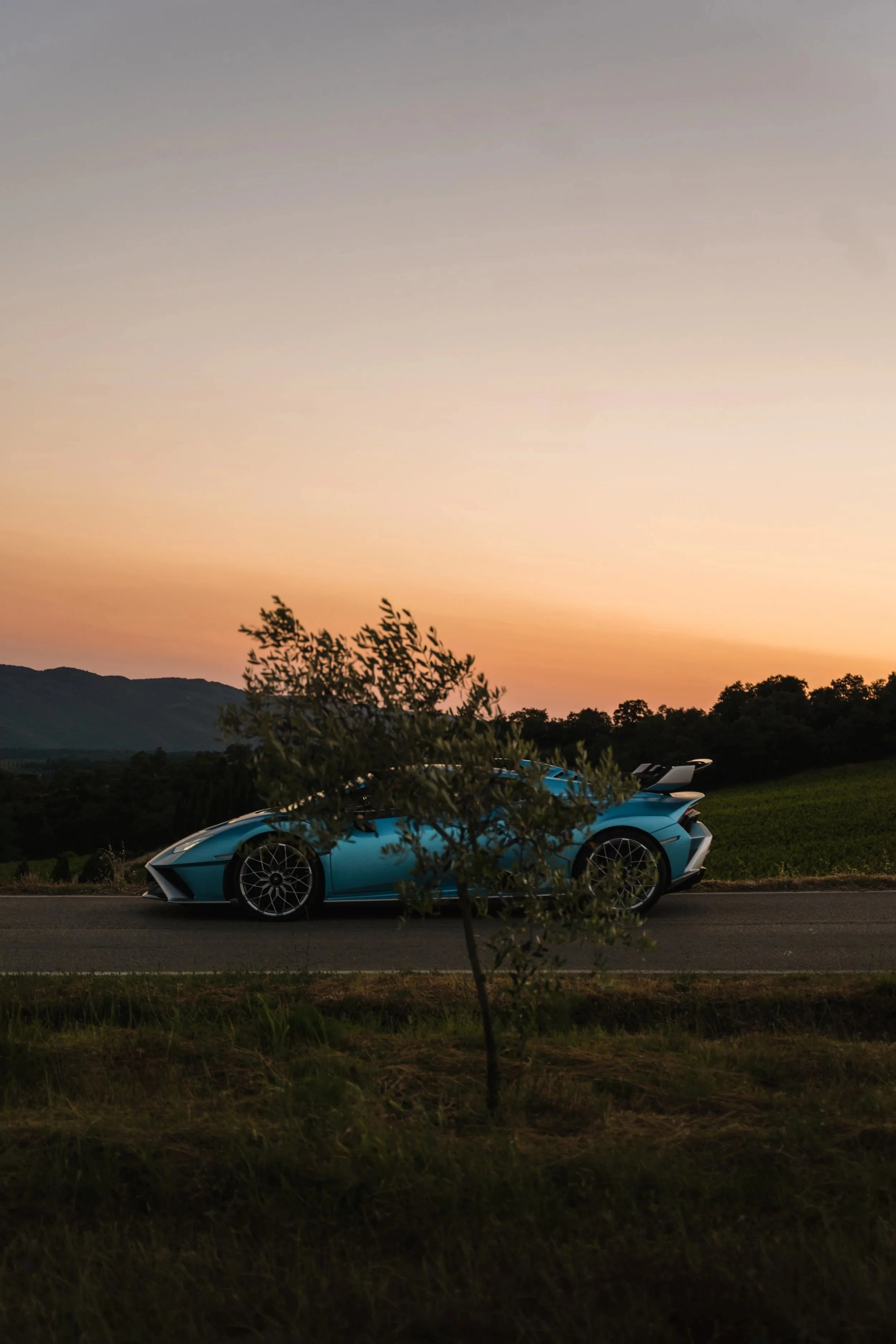 DSC03351-109 (7).jpeg