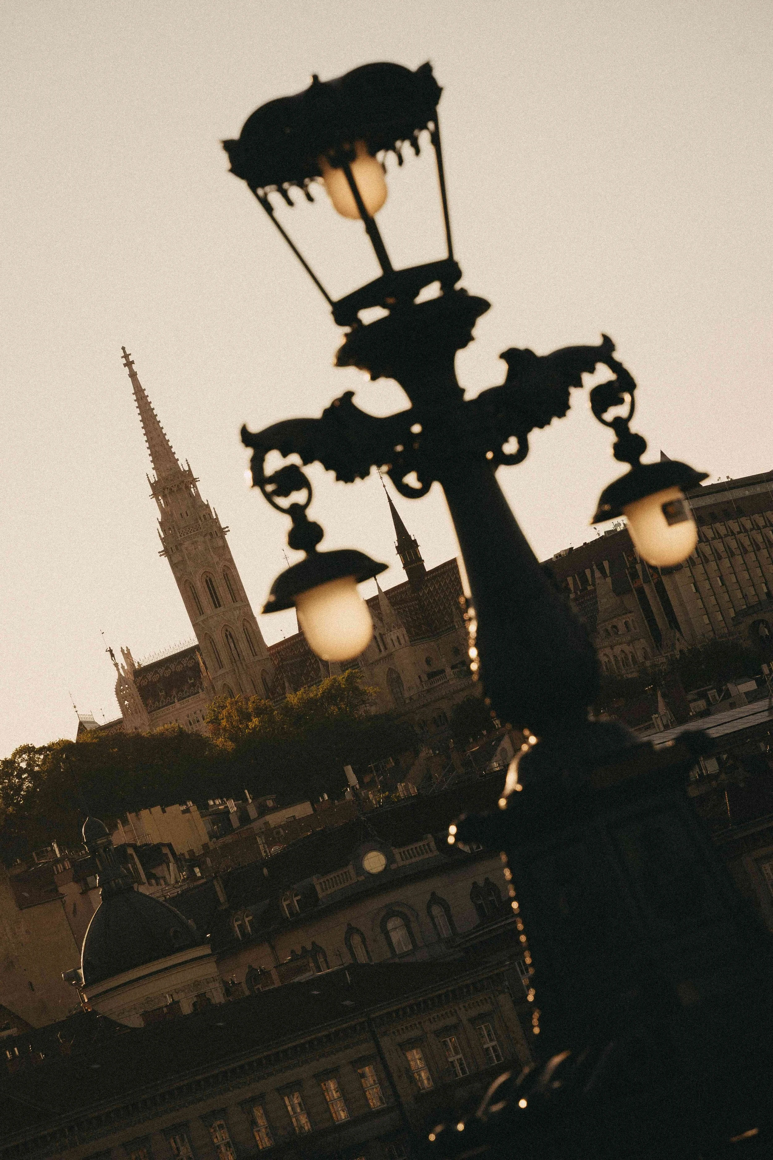 _DSC5935.jpeg