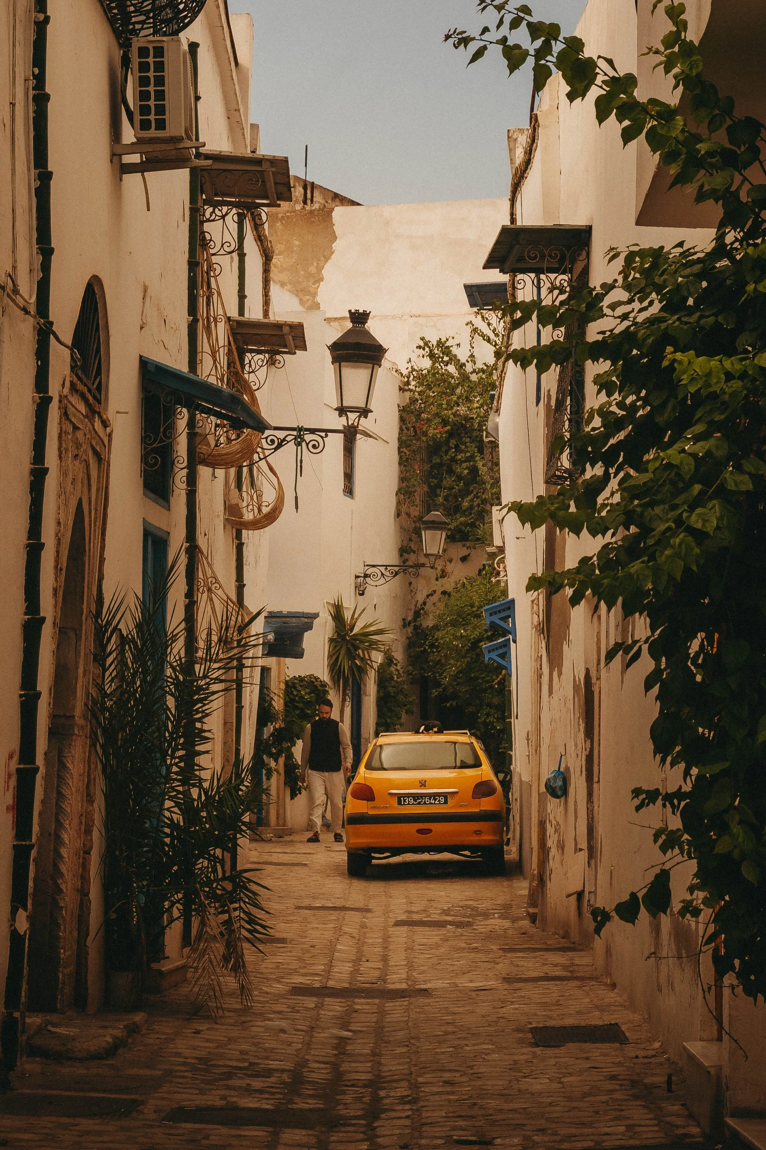 _DSC7320.jpeg