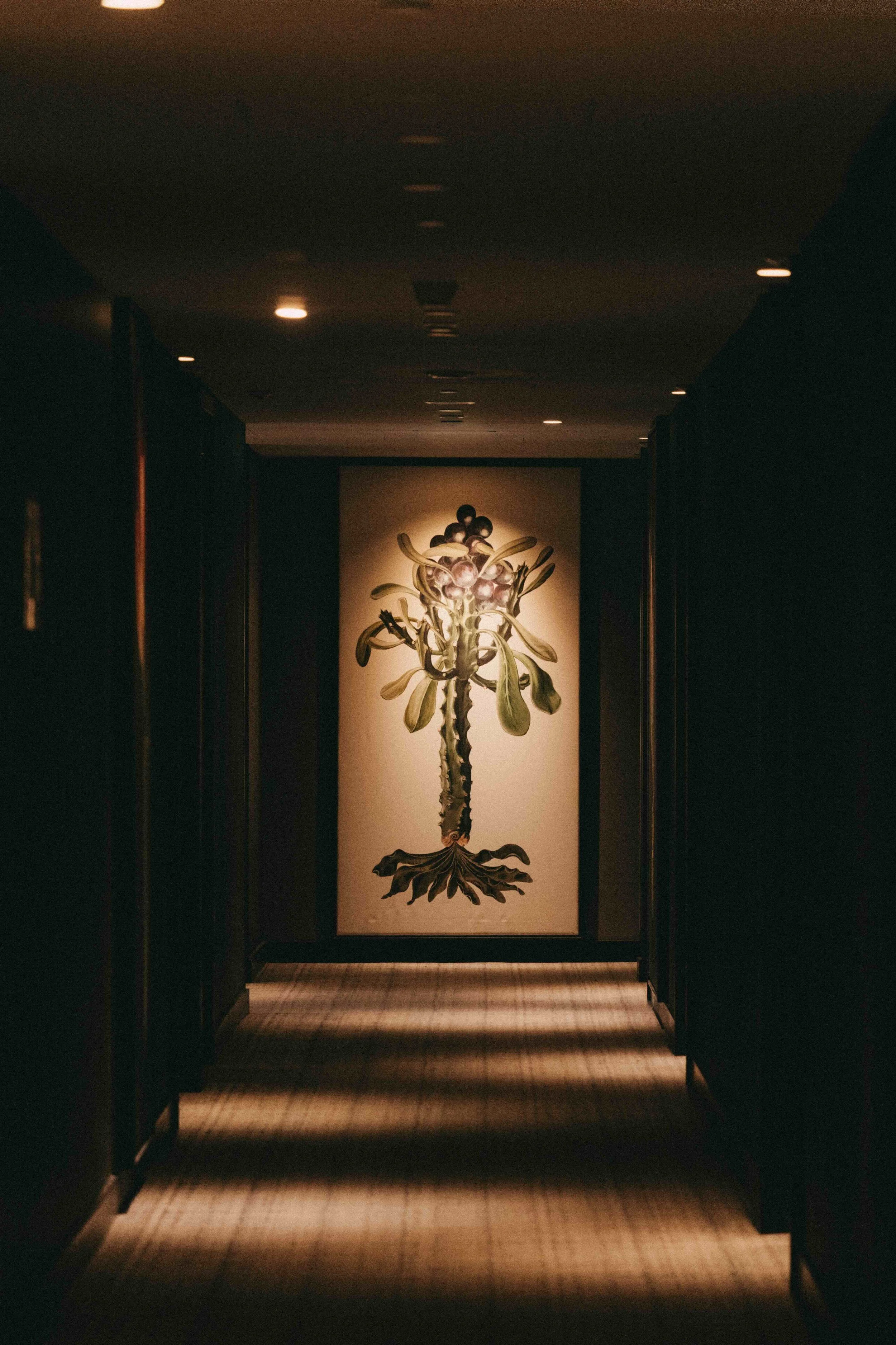 _DSC7793.jpeg