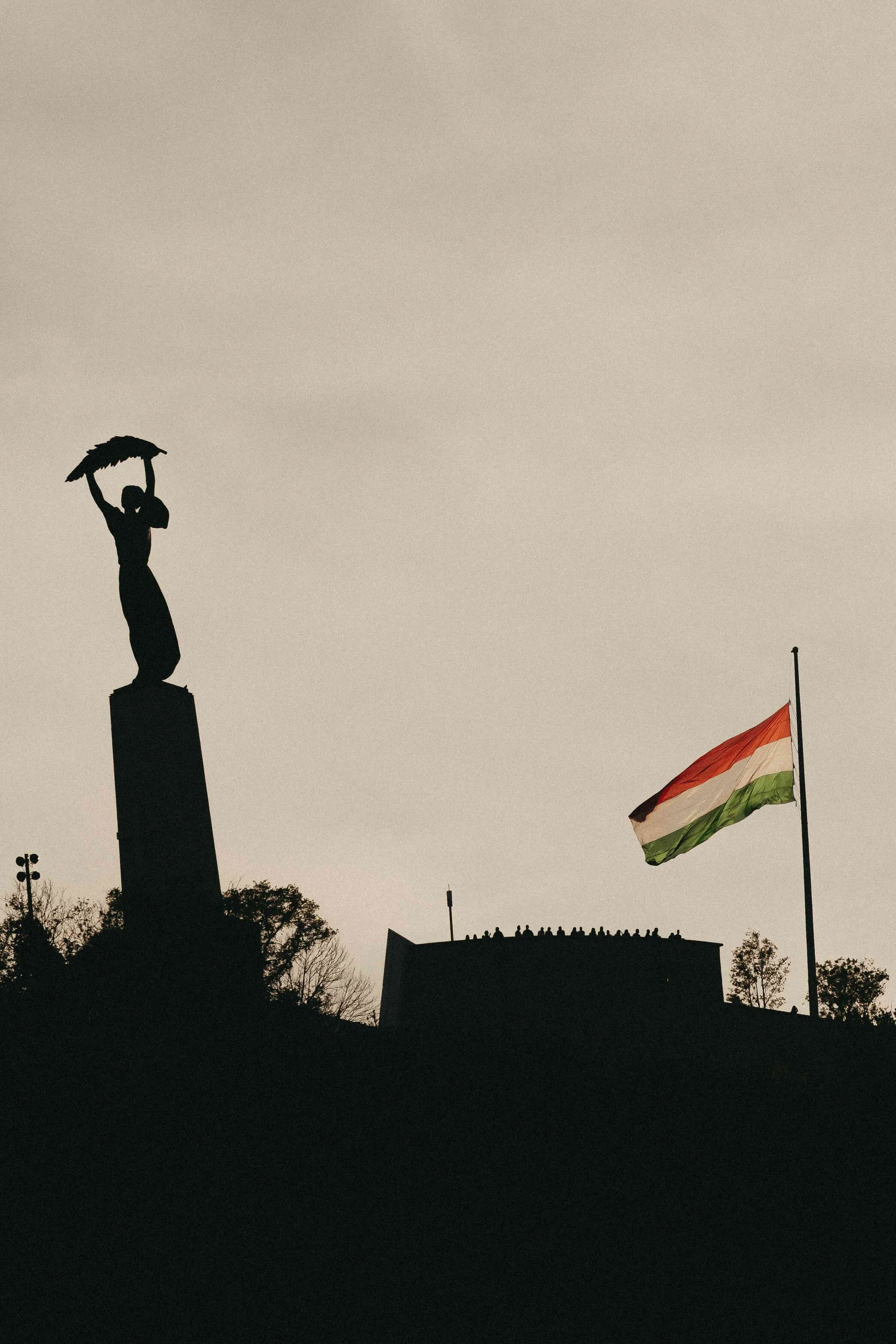 _DSC7142.jpeg