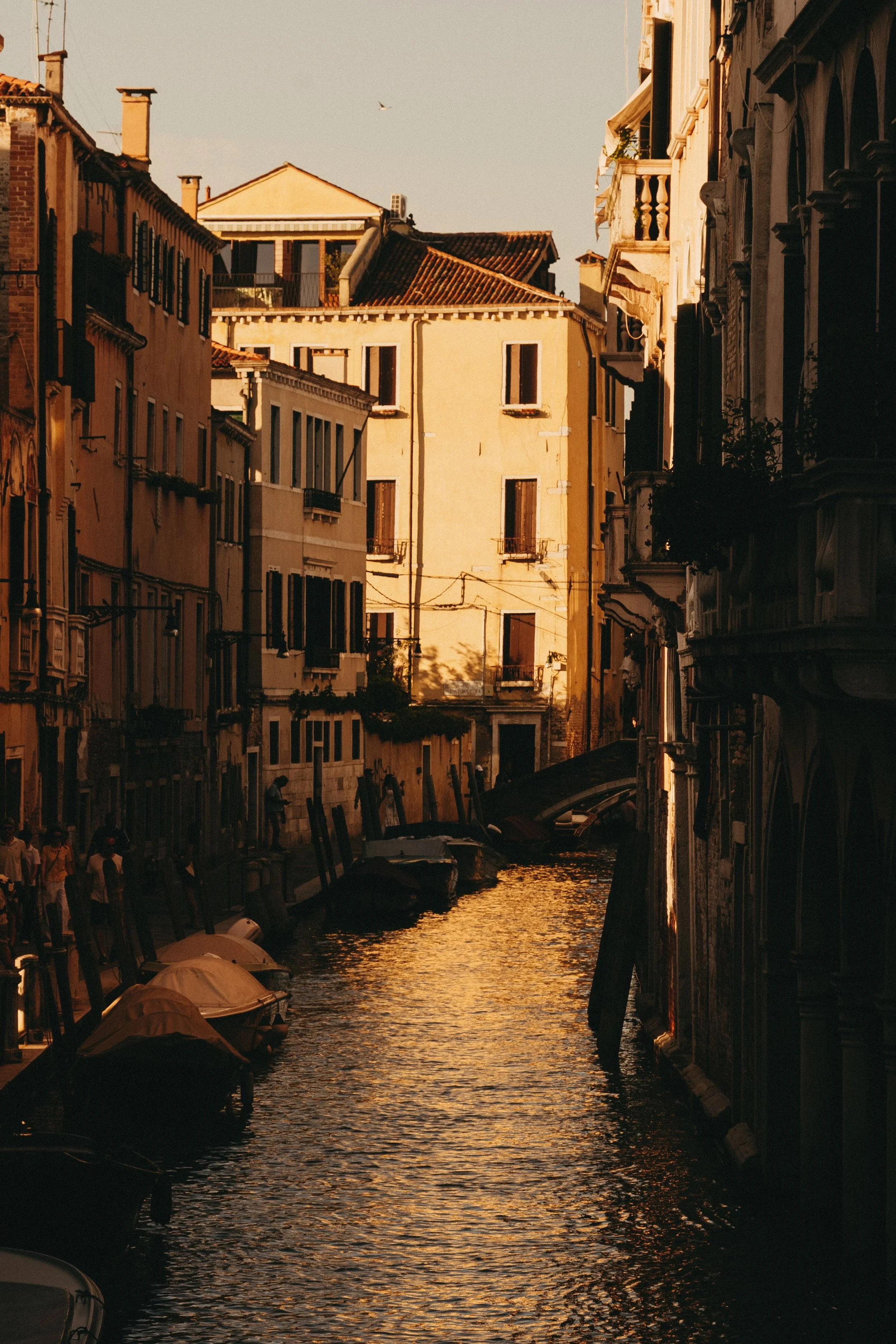 _DSC4946.jpeg