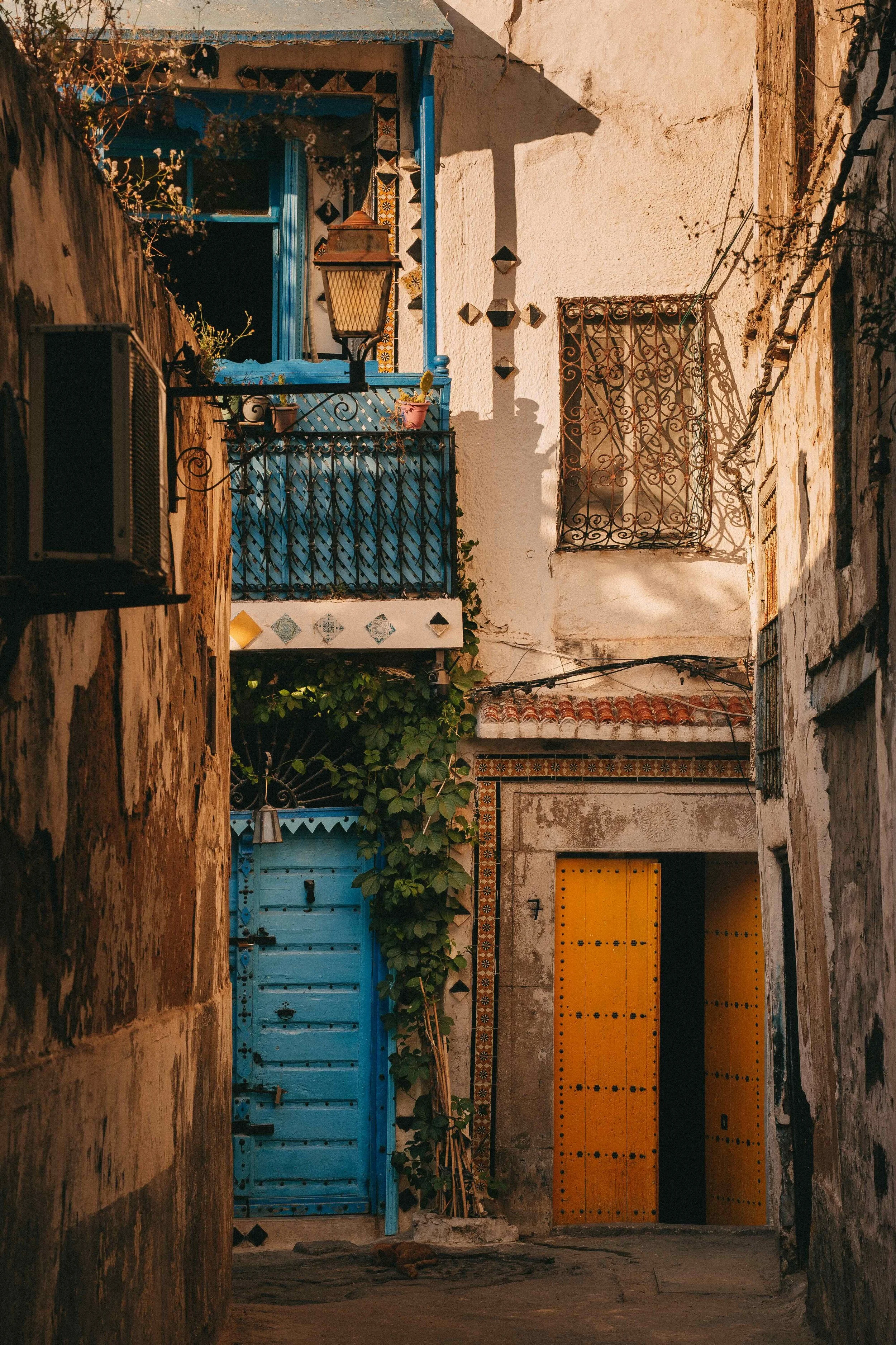 _DSC0526.jpeg