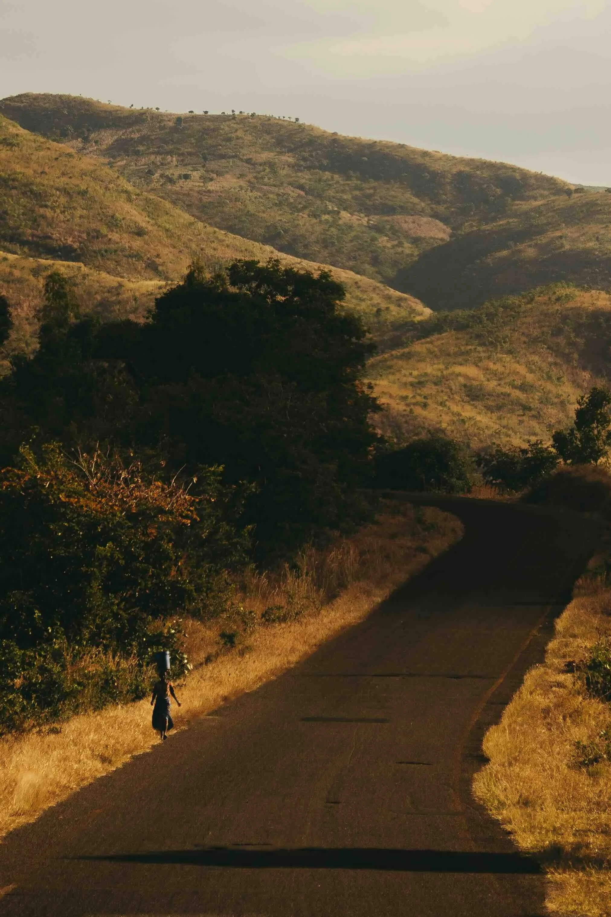 _DSC2651.jpeg