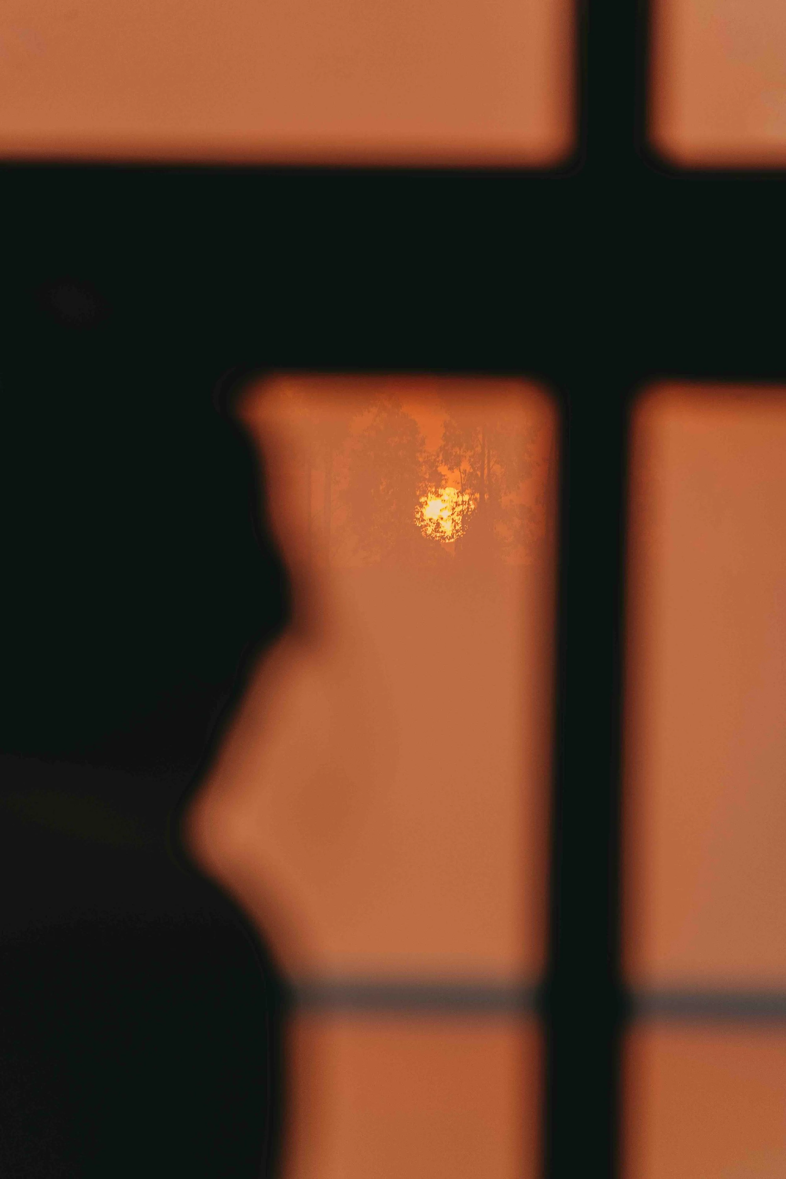 _DSC4518.jpeg
