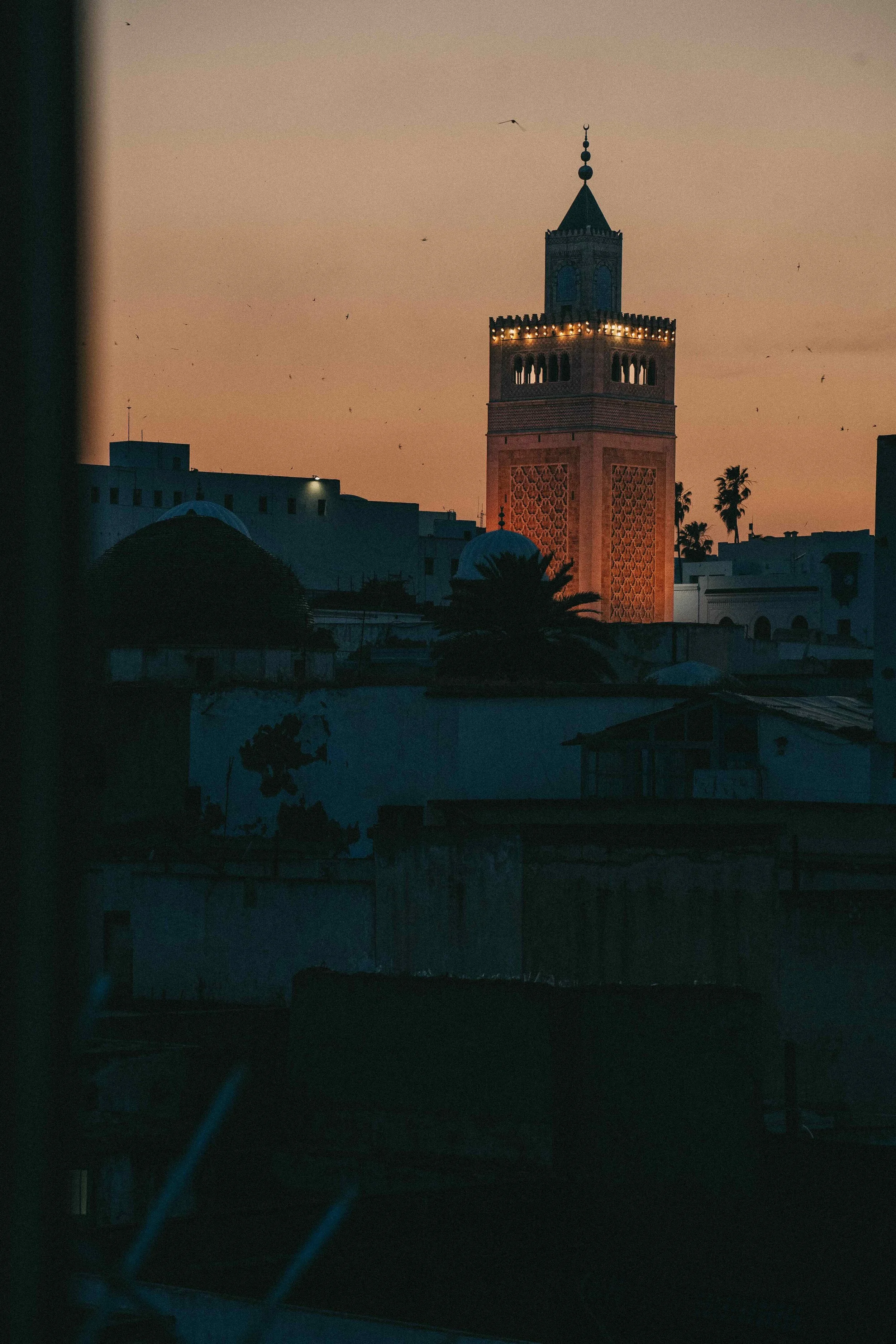 _DSC0812.jpeg