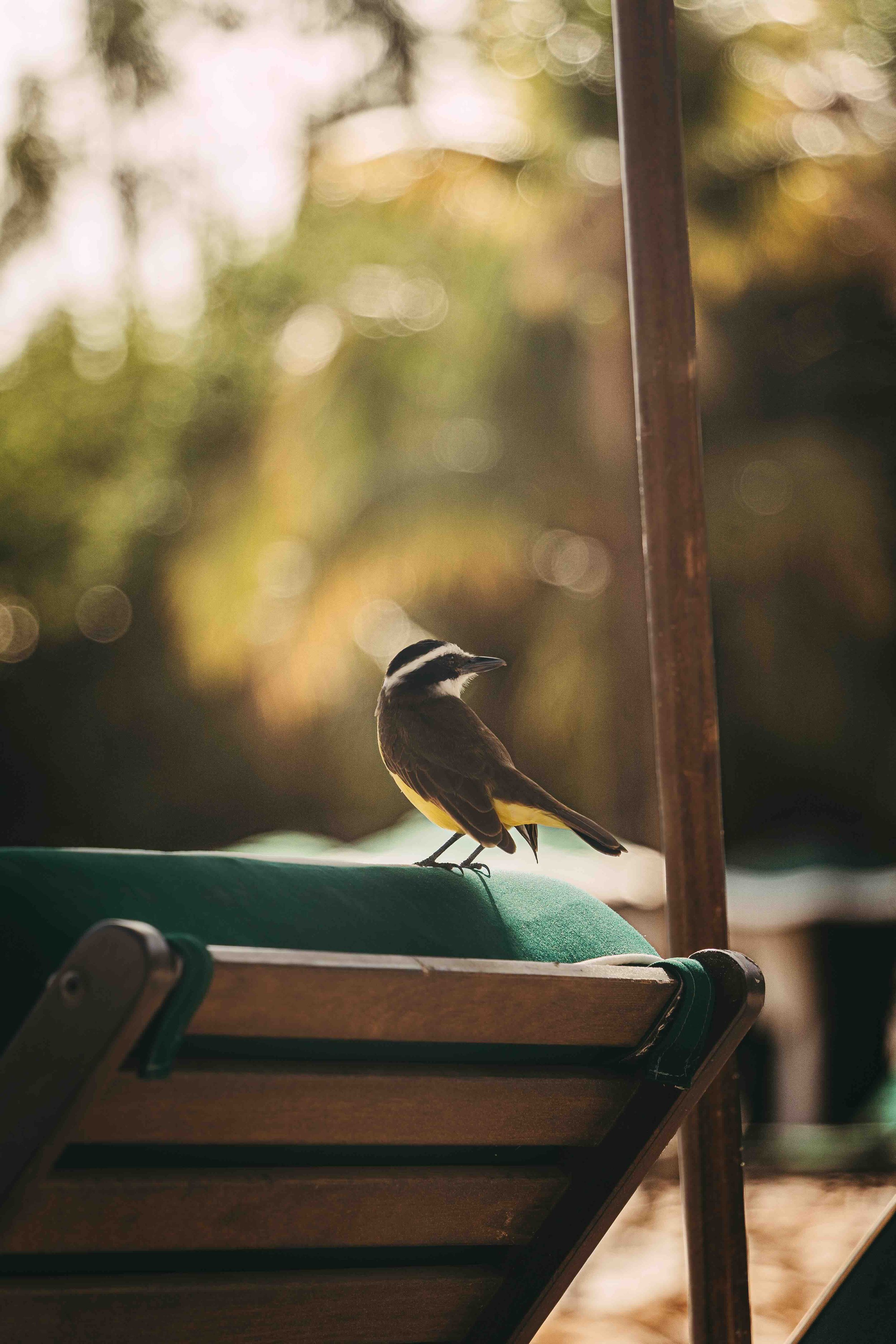 _DSC4492.jpeg