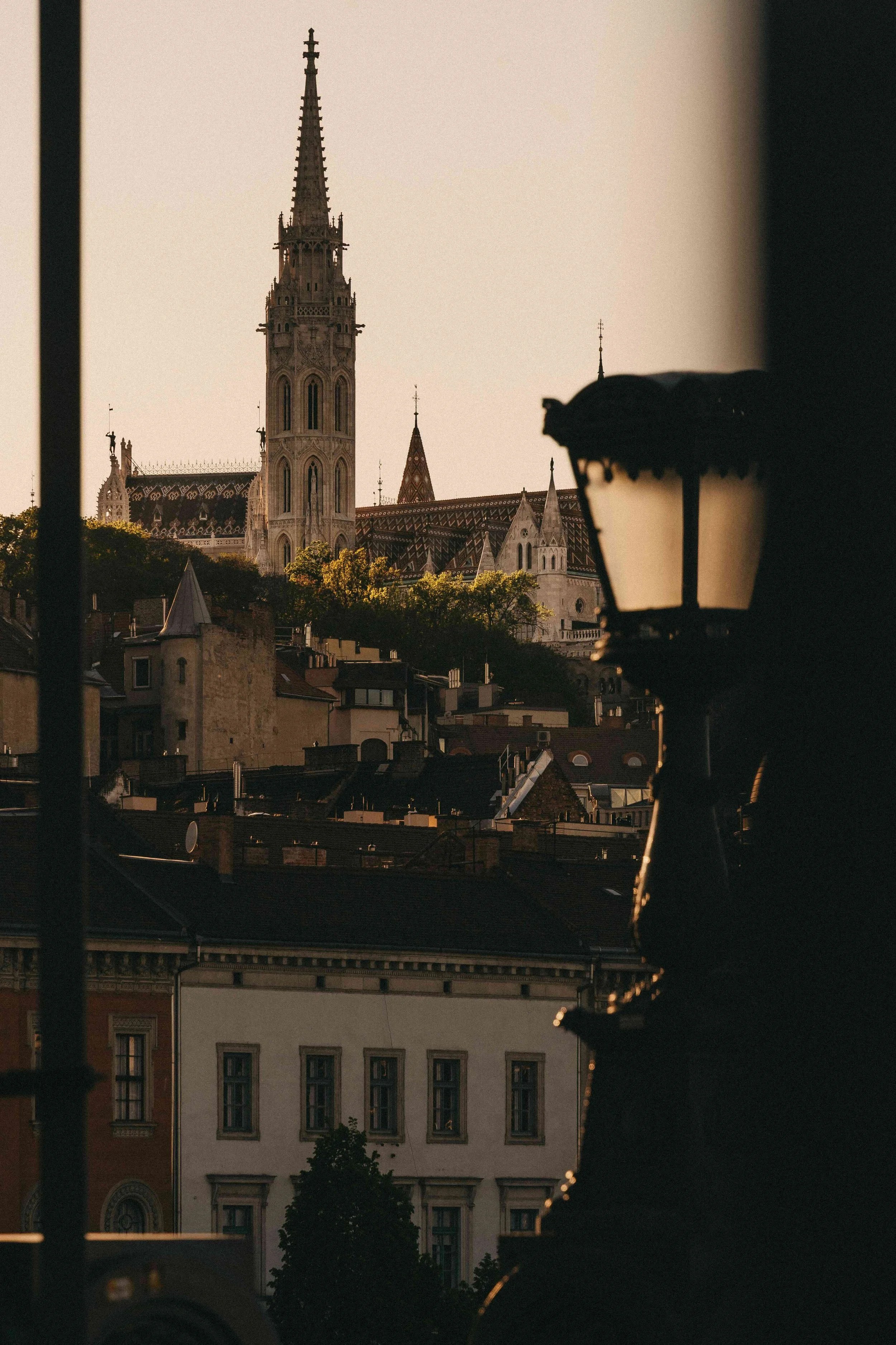 _DSC5940.jpeg