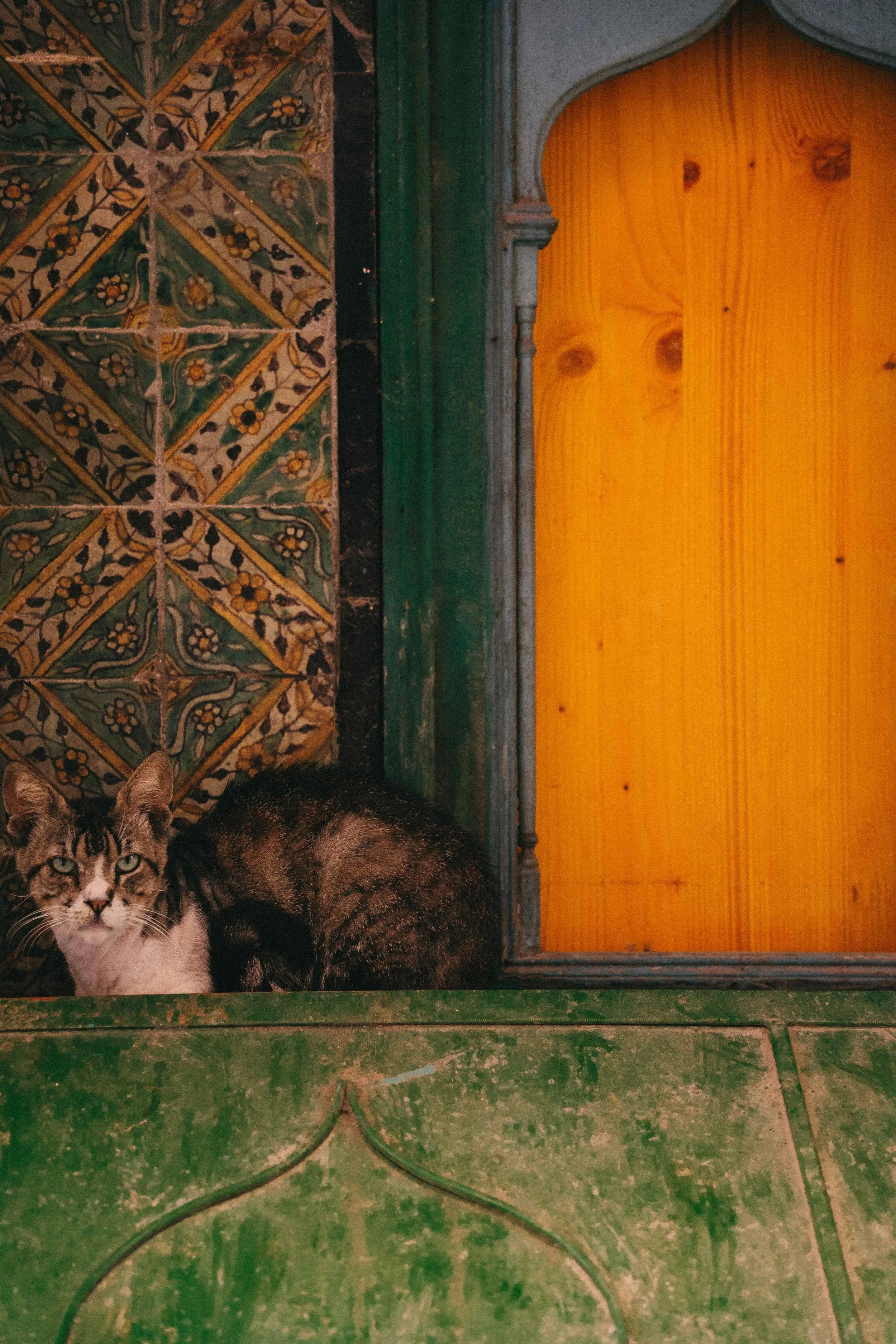 _DSC0552.jpeg