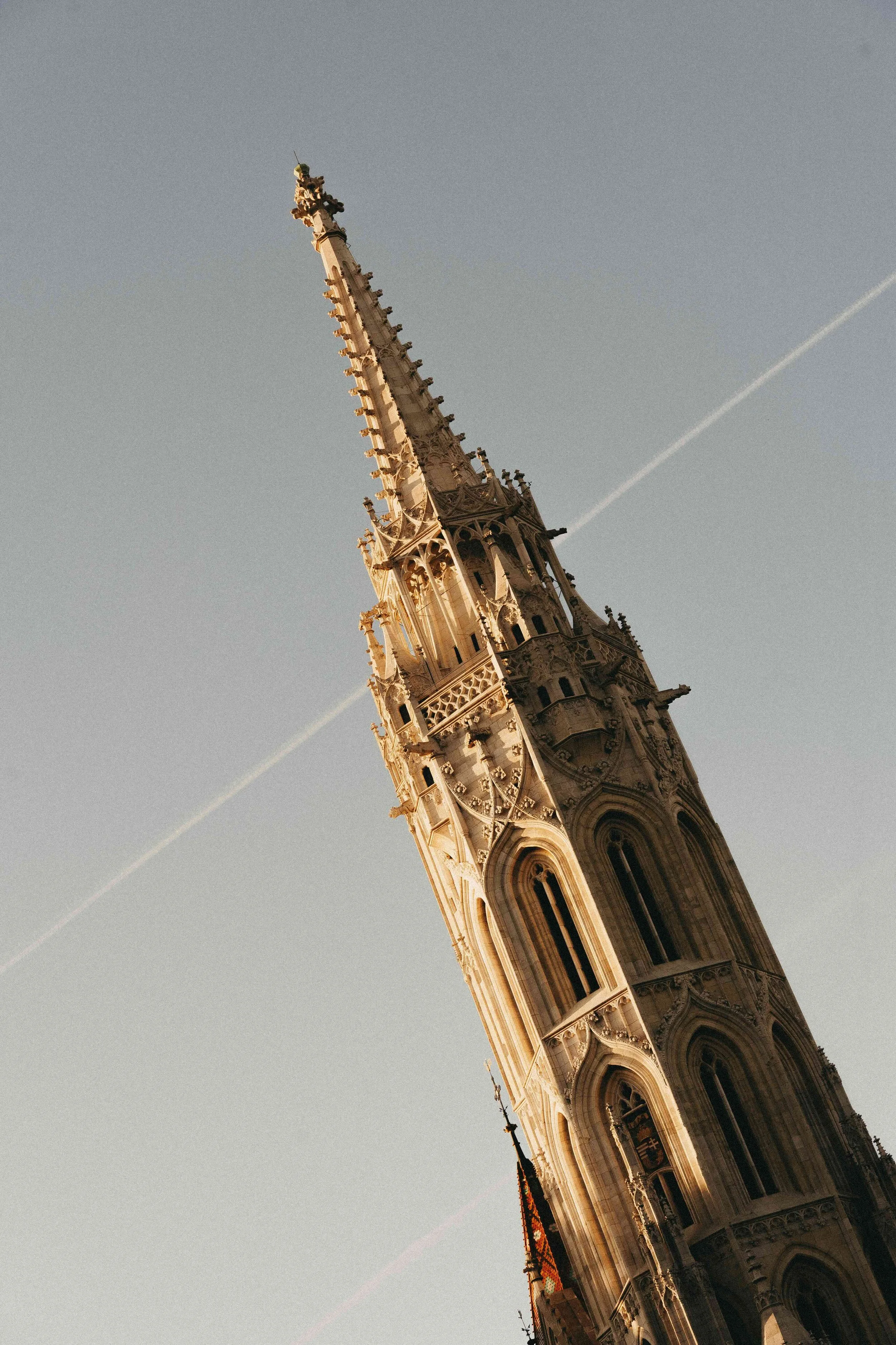 _DSC6000.jpeg
