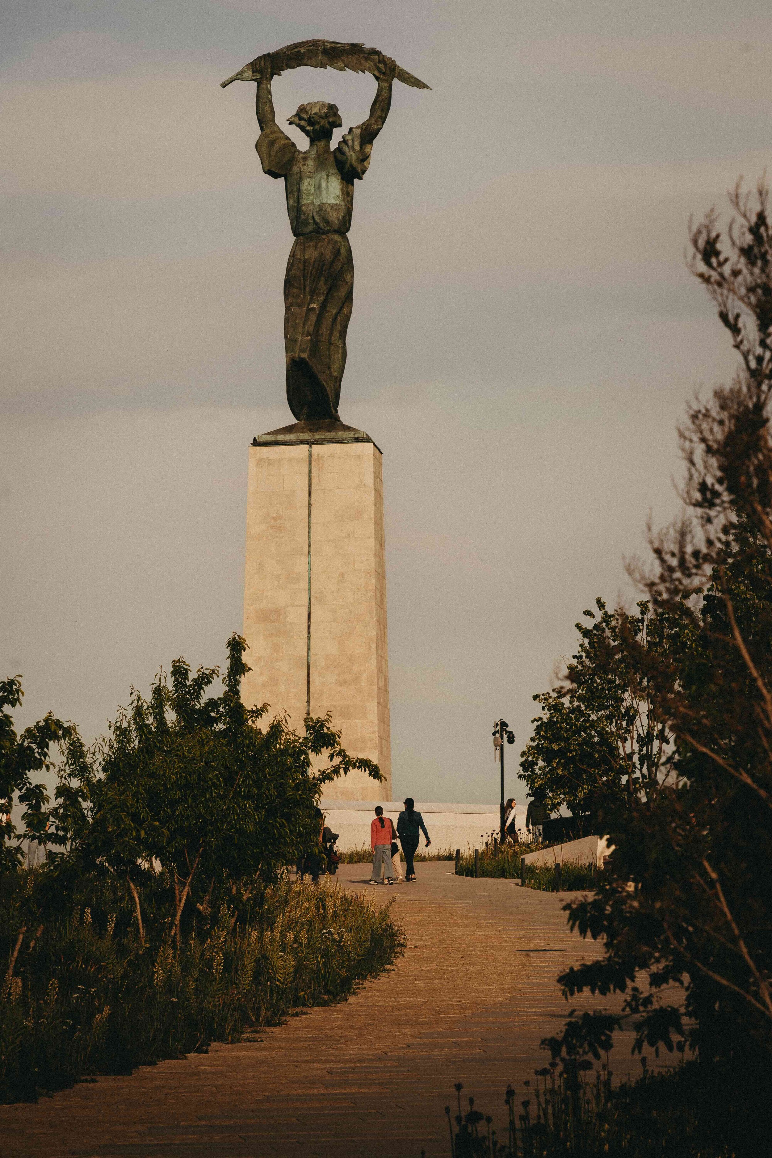 _DSC7064.jpeg