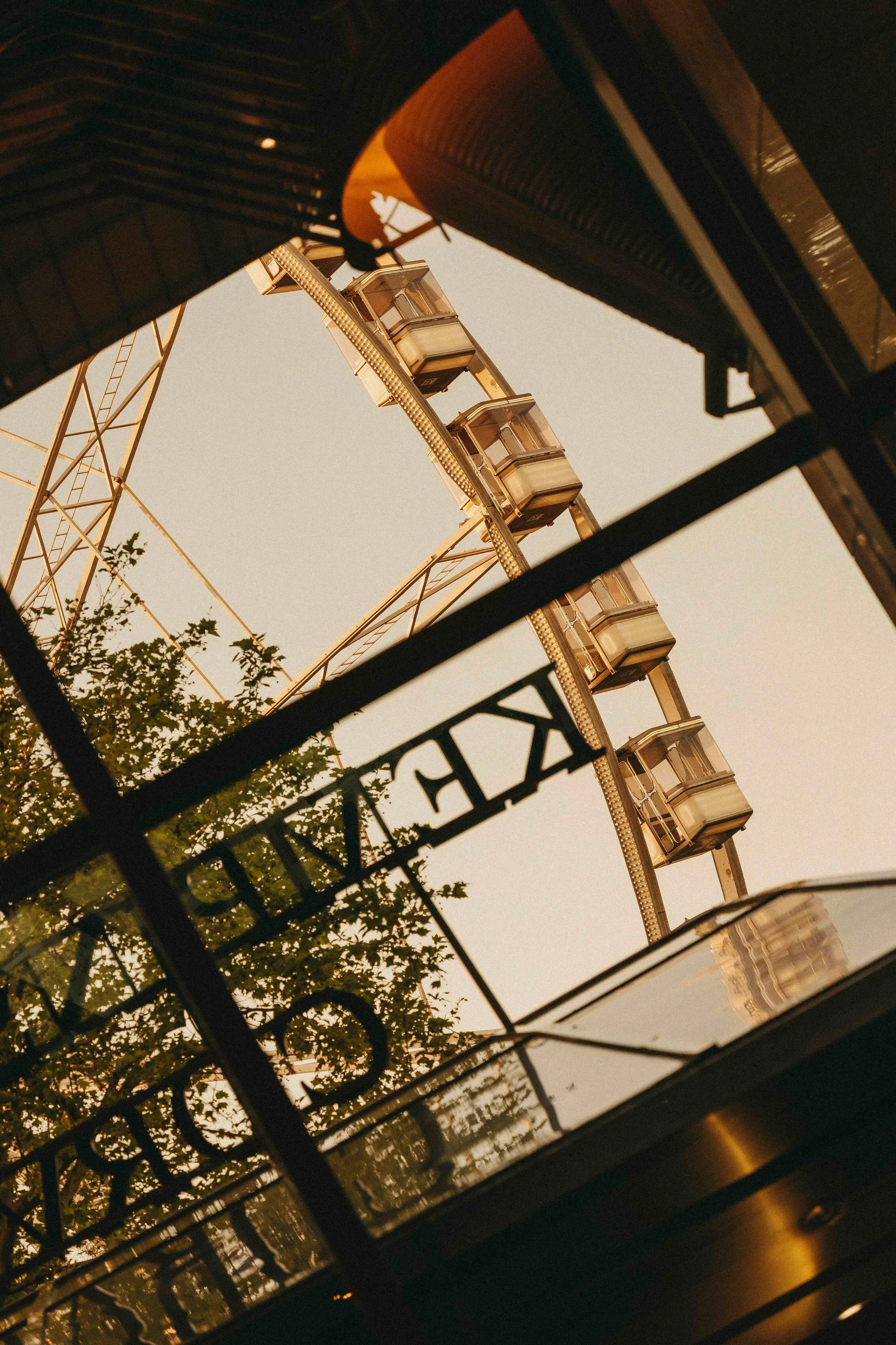 _DSC7155.jpeg