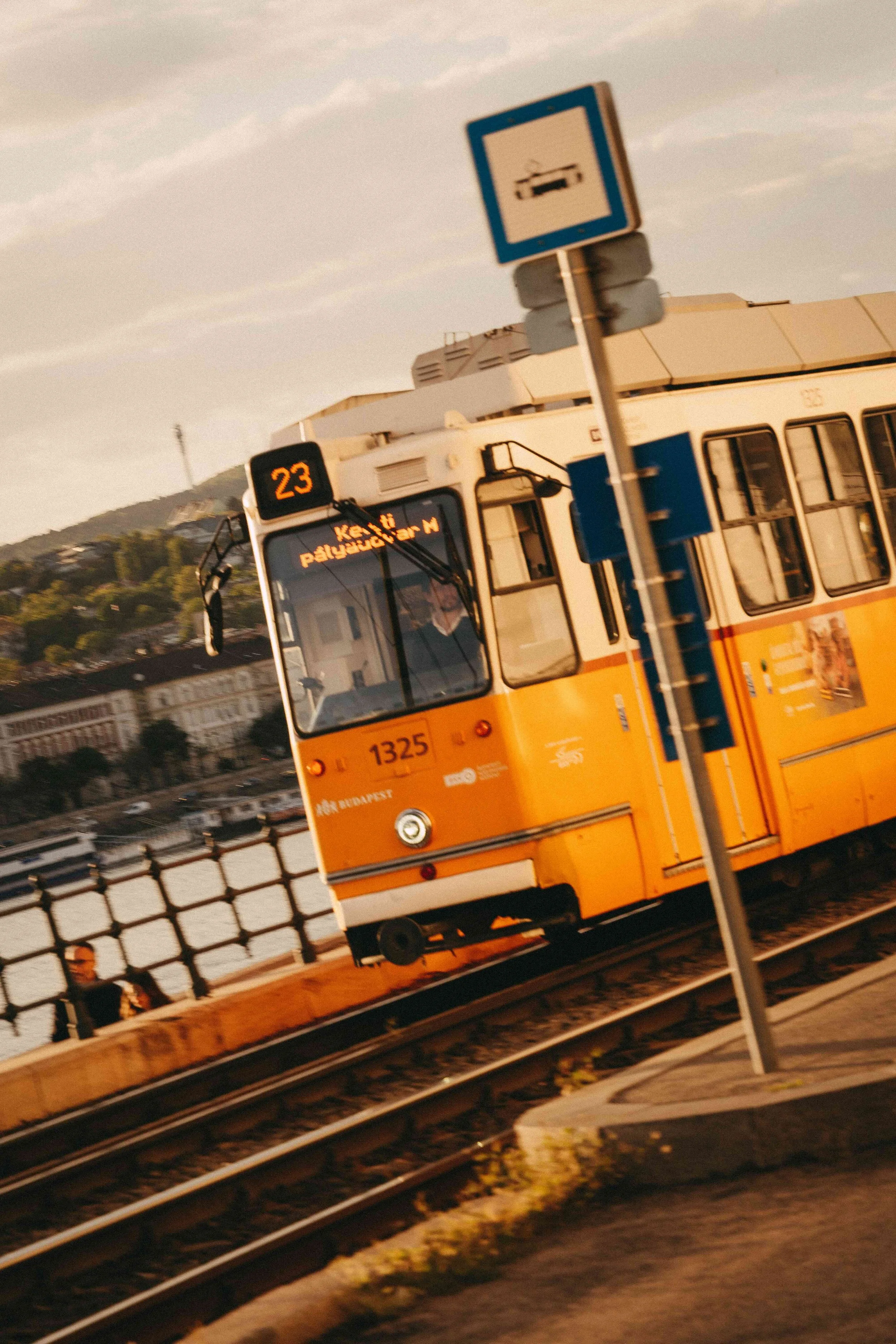 _DSC7348.jpeg