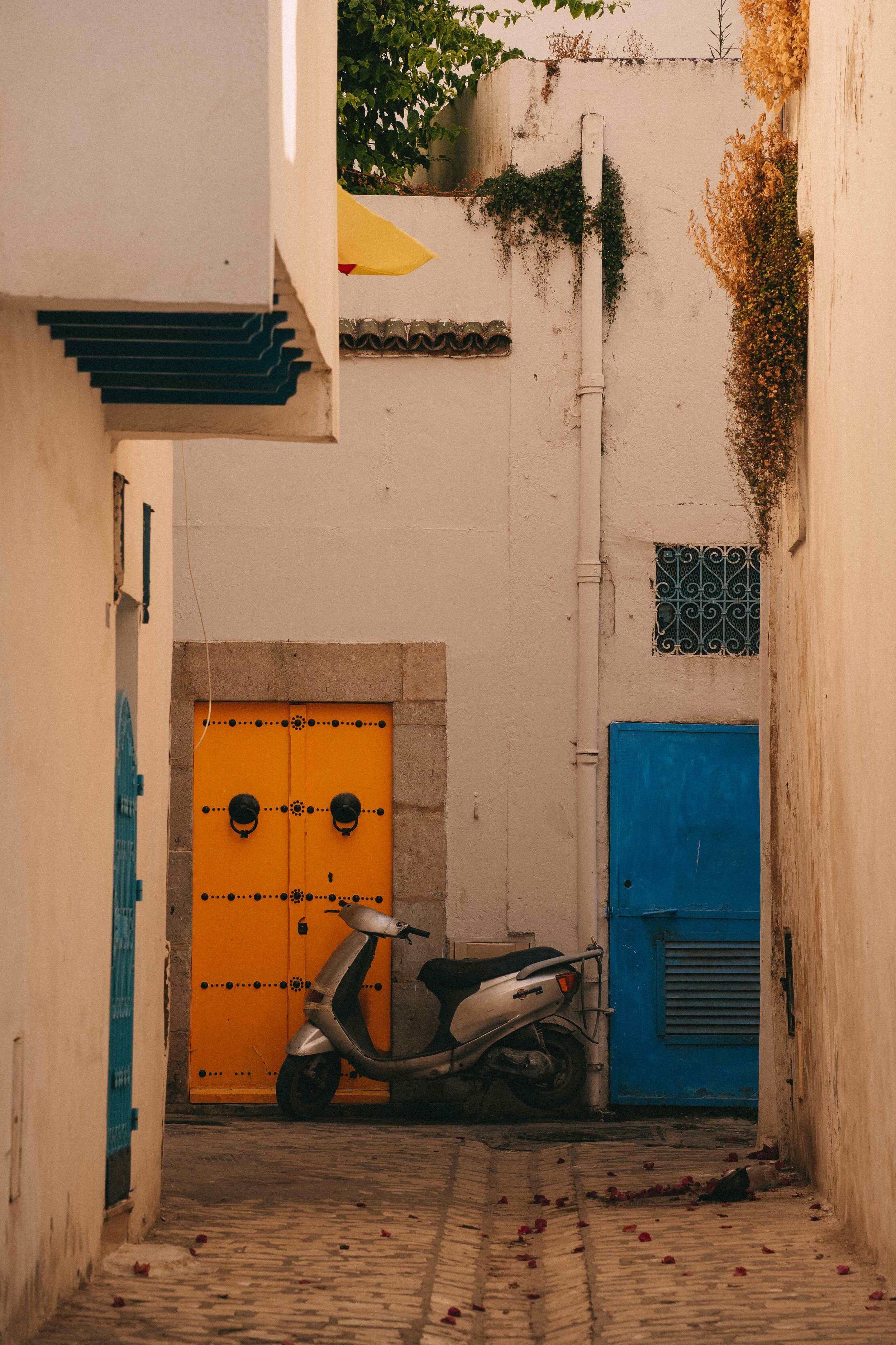 _DSC0479.jpeg