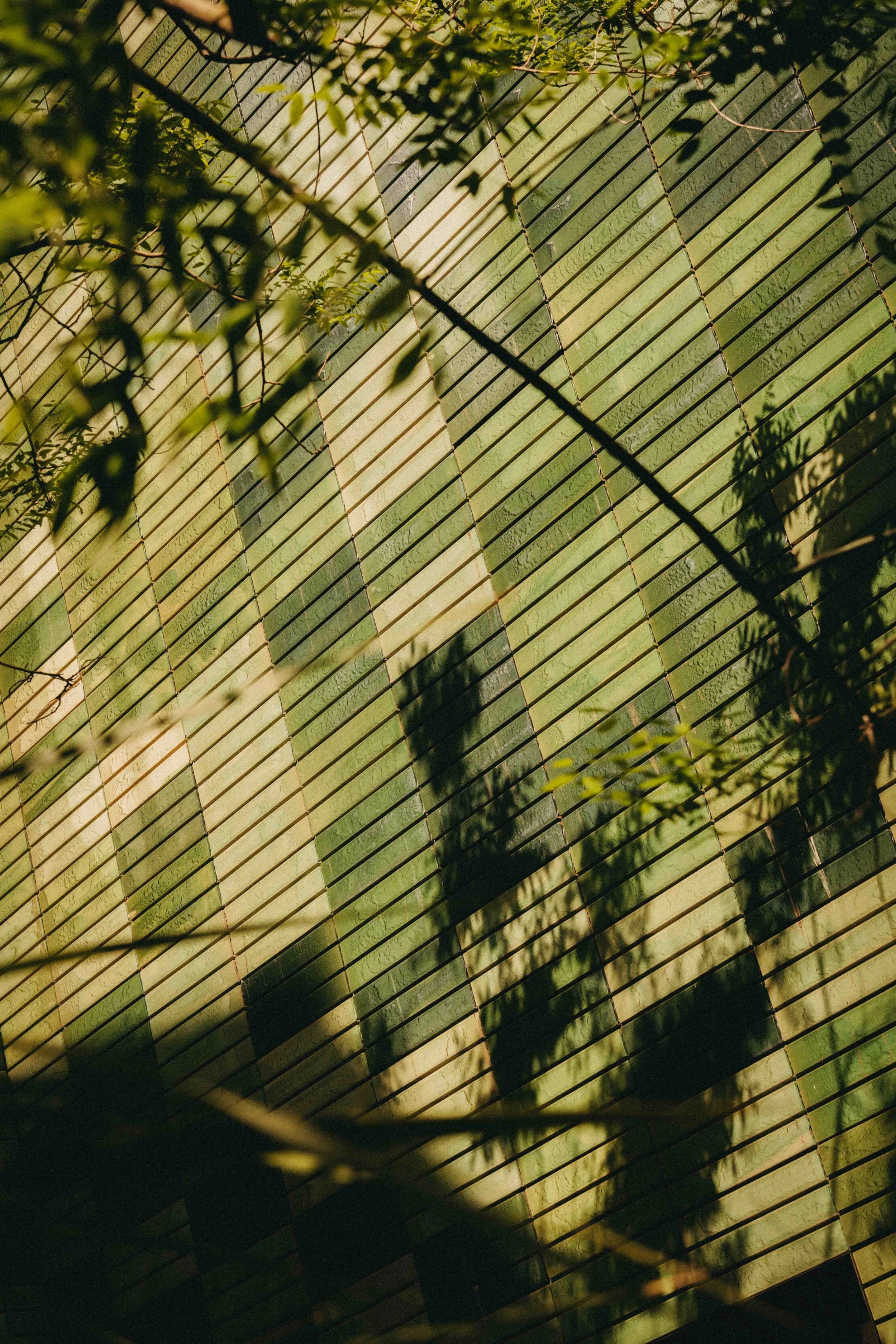 _DSC7770.jpeg