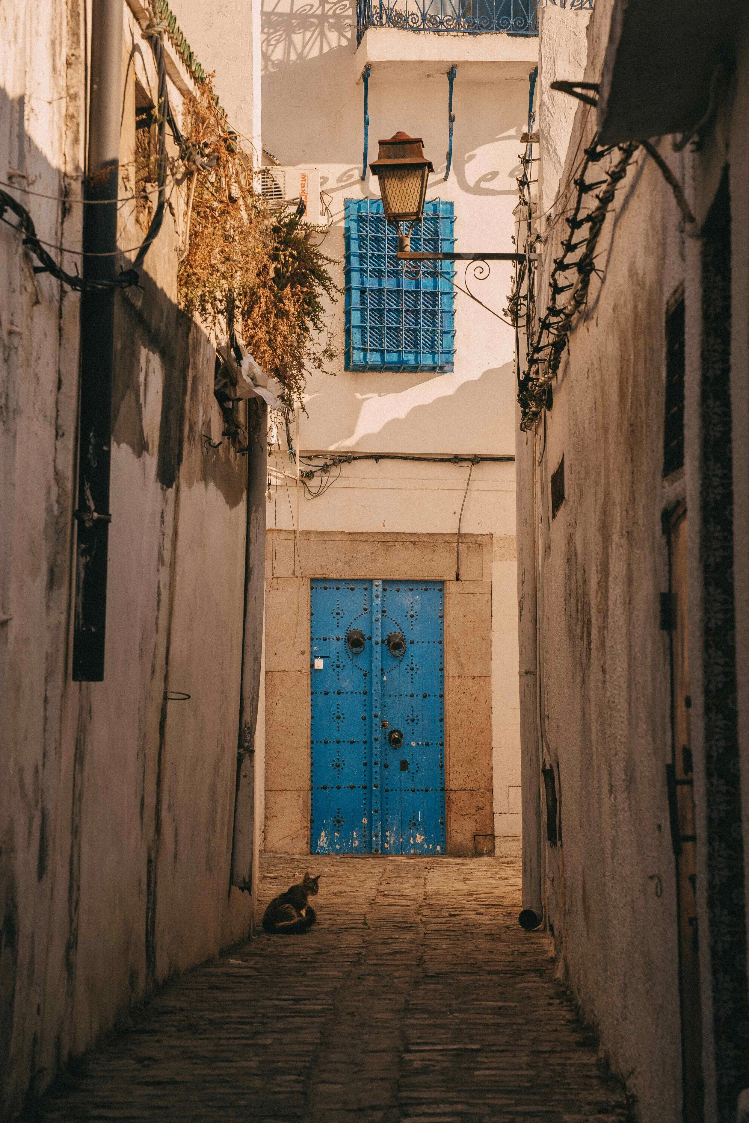 _DSC0433.jpeg