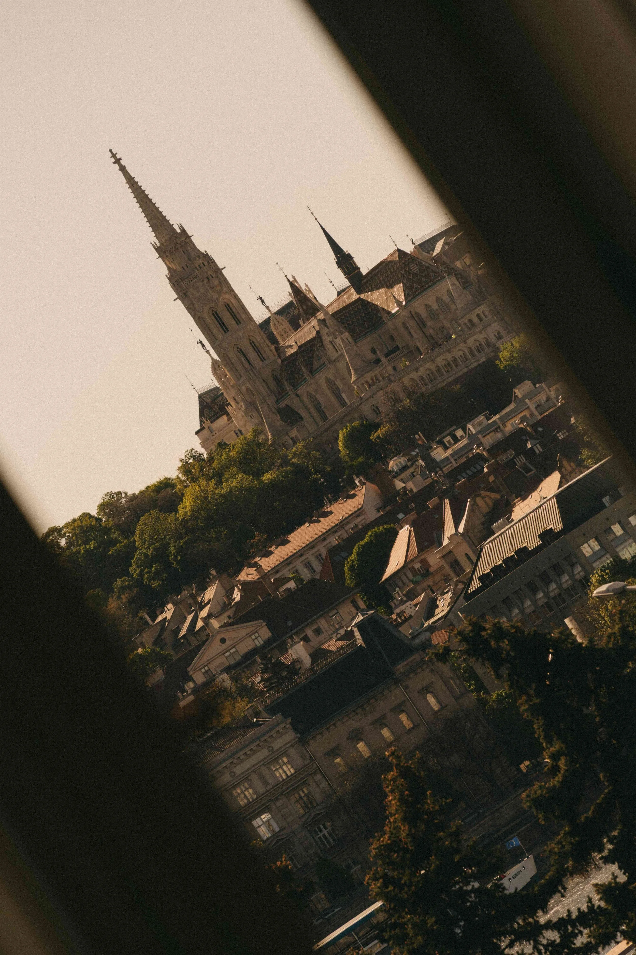 _DSC5481.jpeg