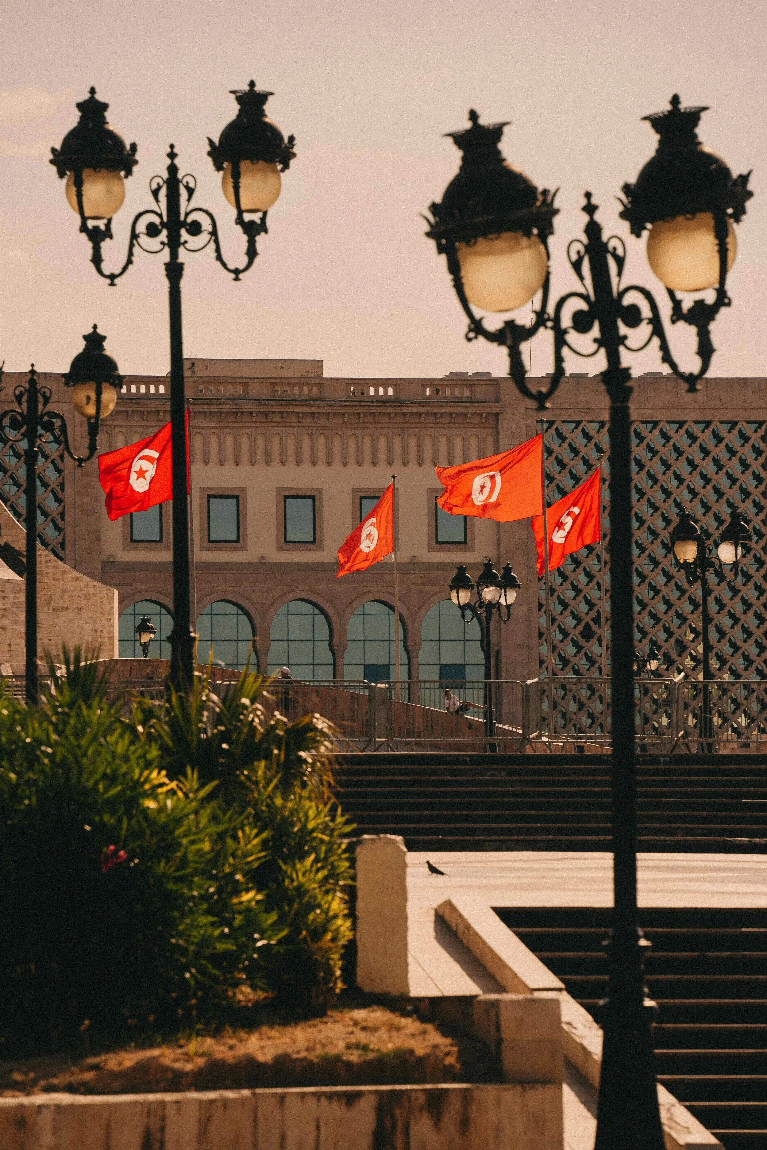 _DSC0319.jpeg