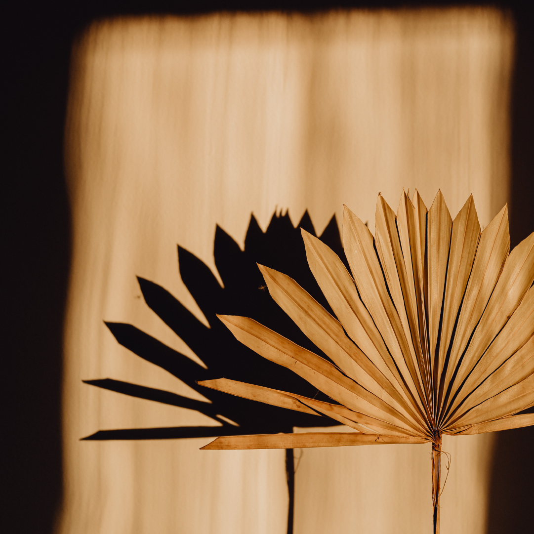 WHAT EVERY LEADER OF CHANGE NEEDS TO KNOW ABOUT PRODUCTIVITY