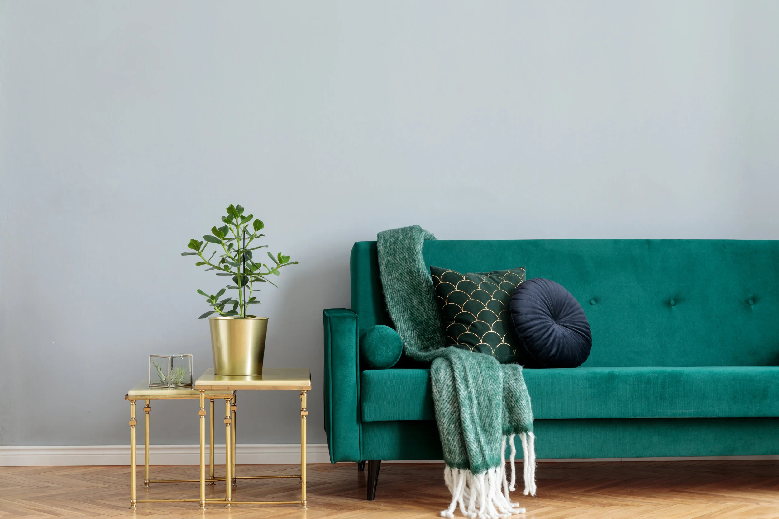 Noushine Navabi Counseling