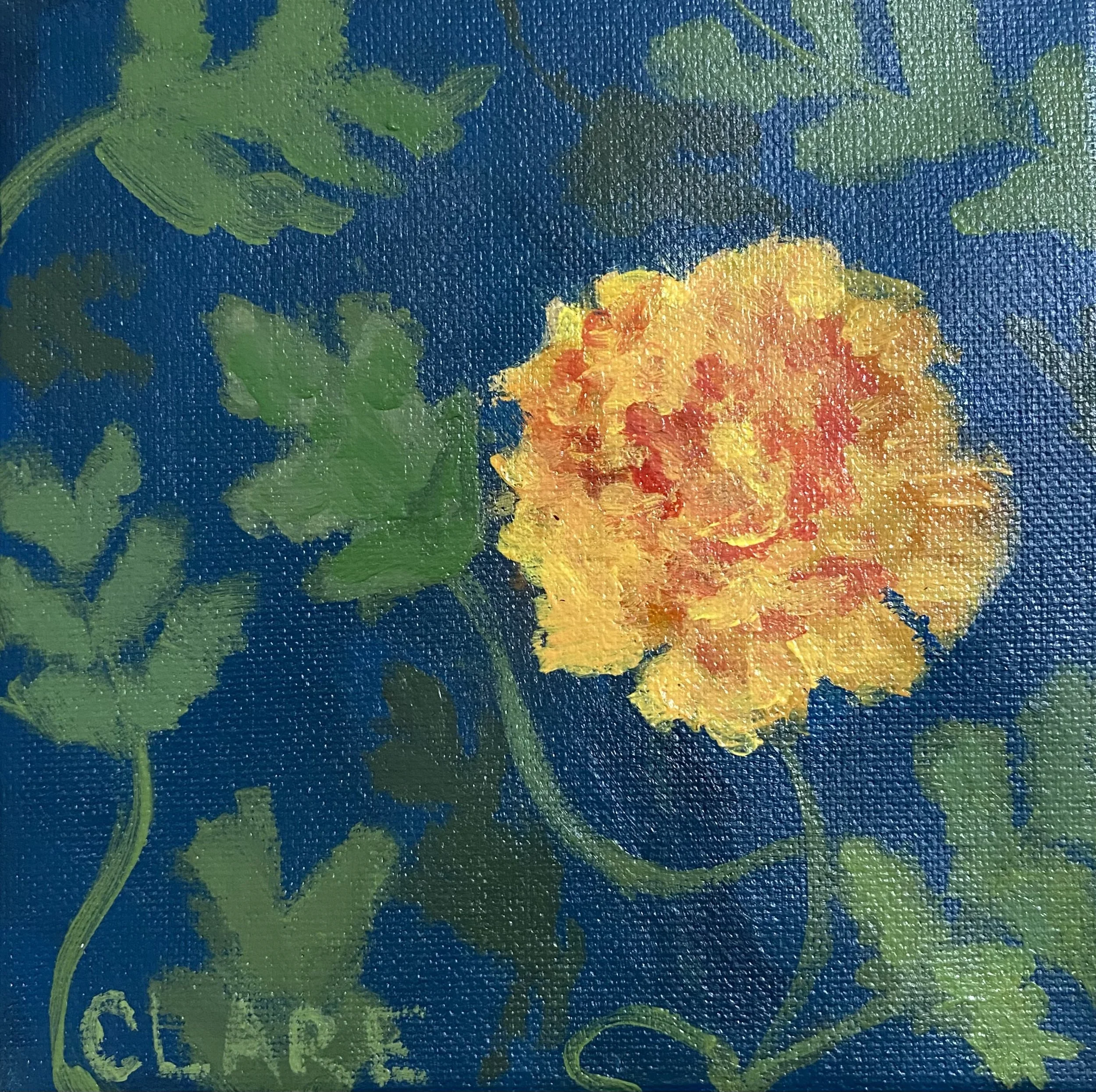 Clare F