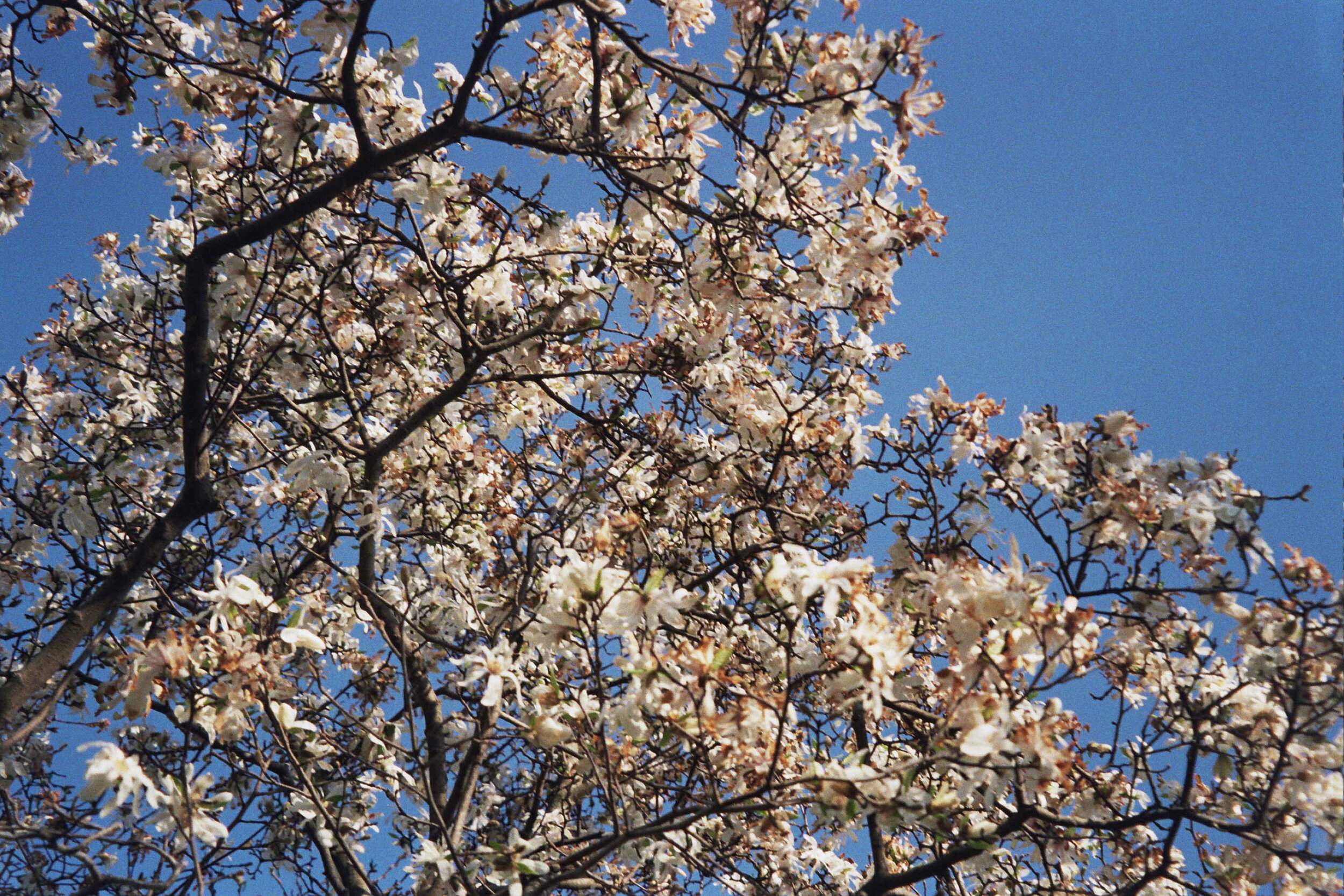 17A_0020.jpg