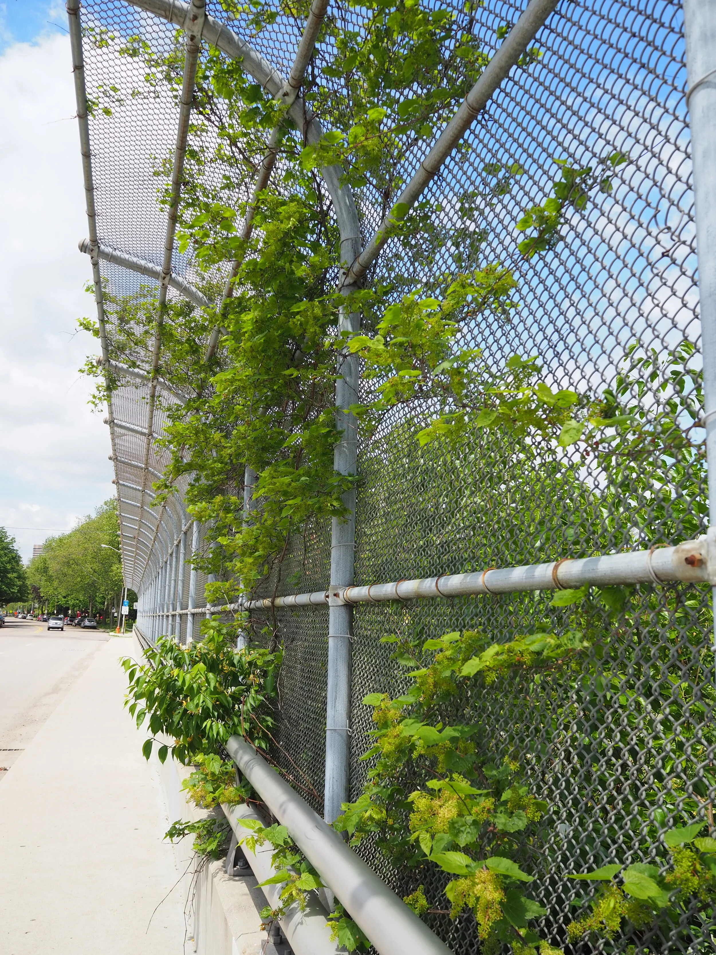 Highway Overpass, 2020