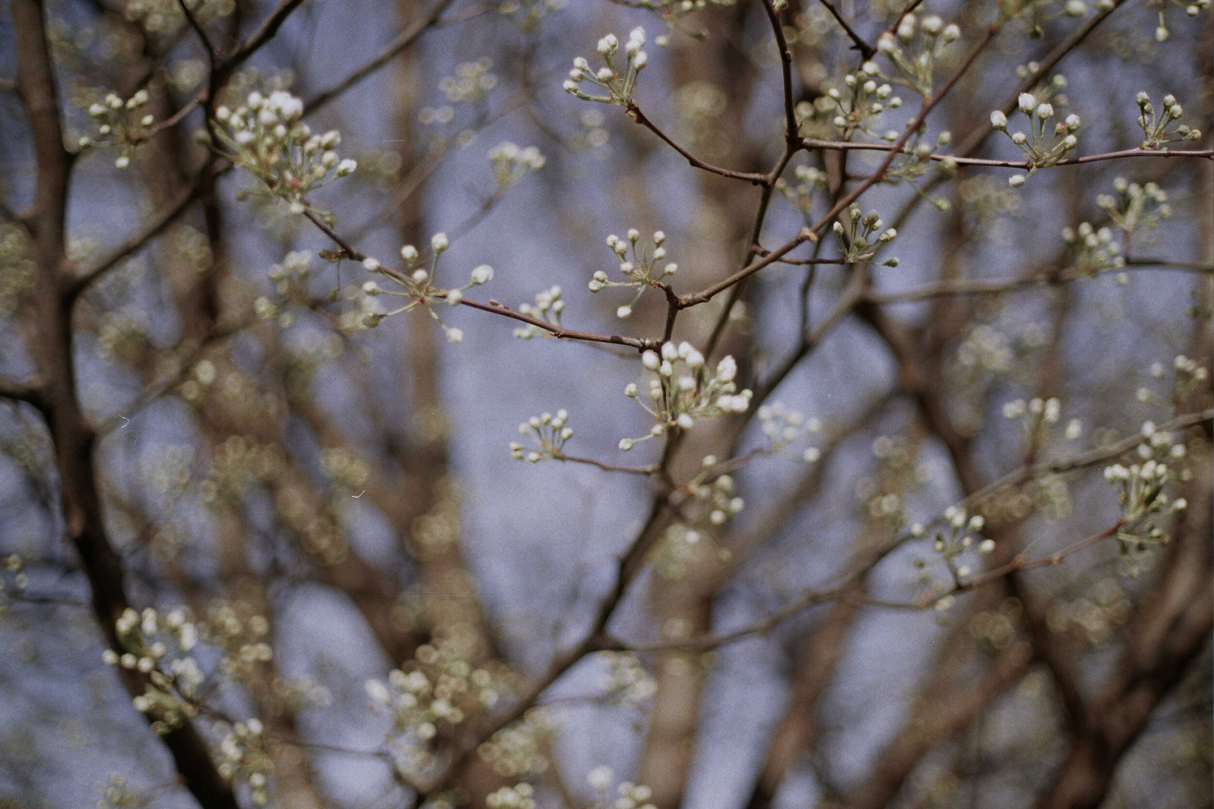 _36_0068.jpg