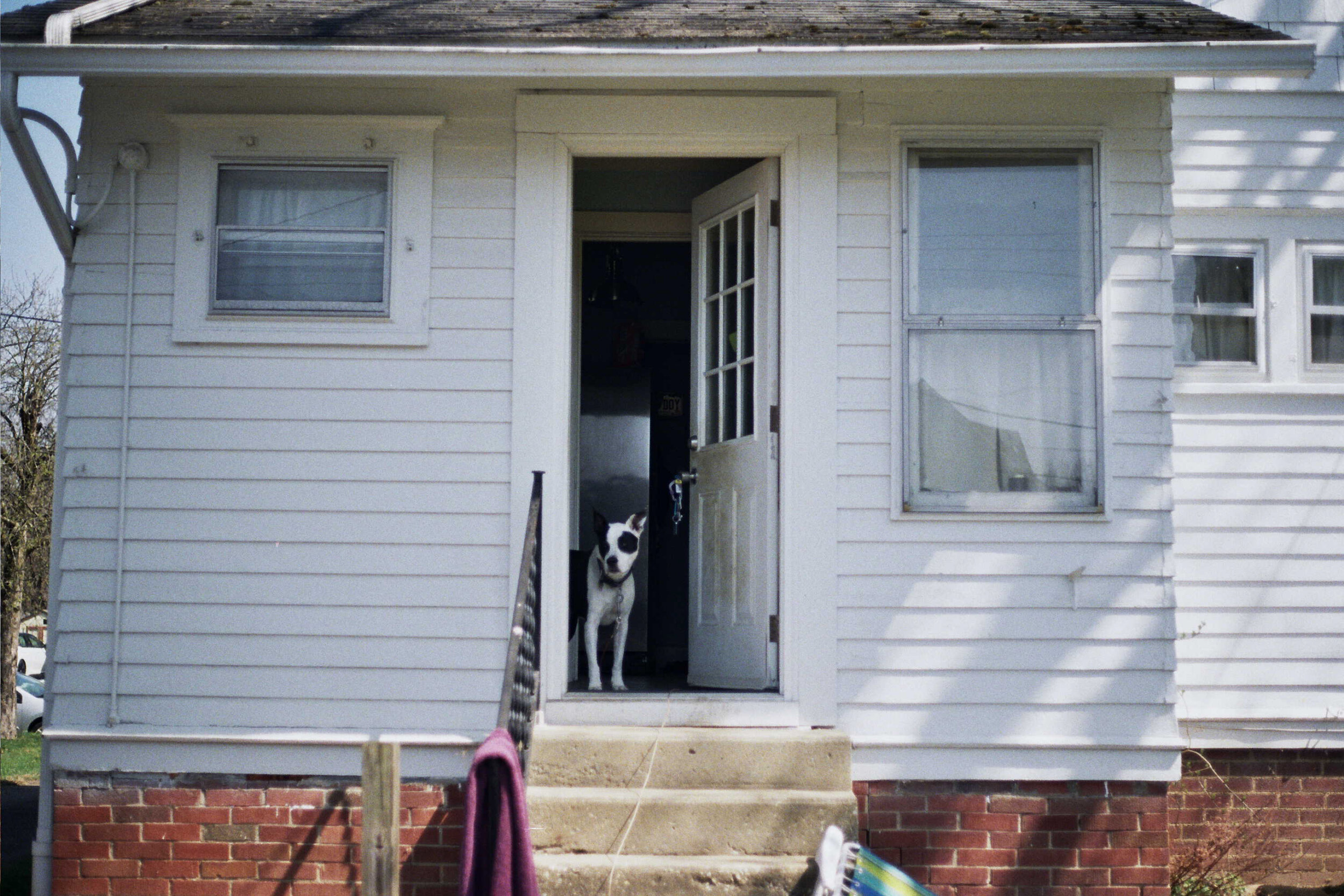 36A_0398.jpg