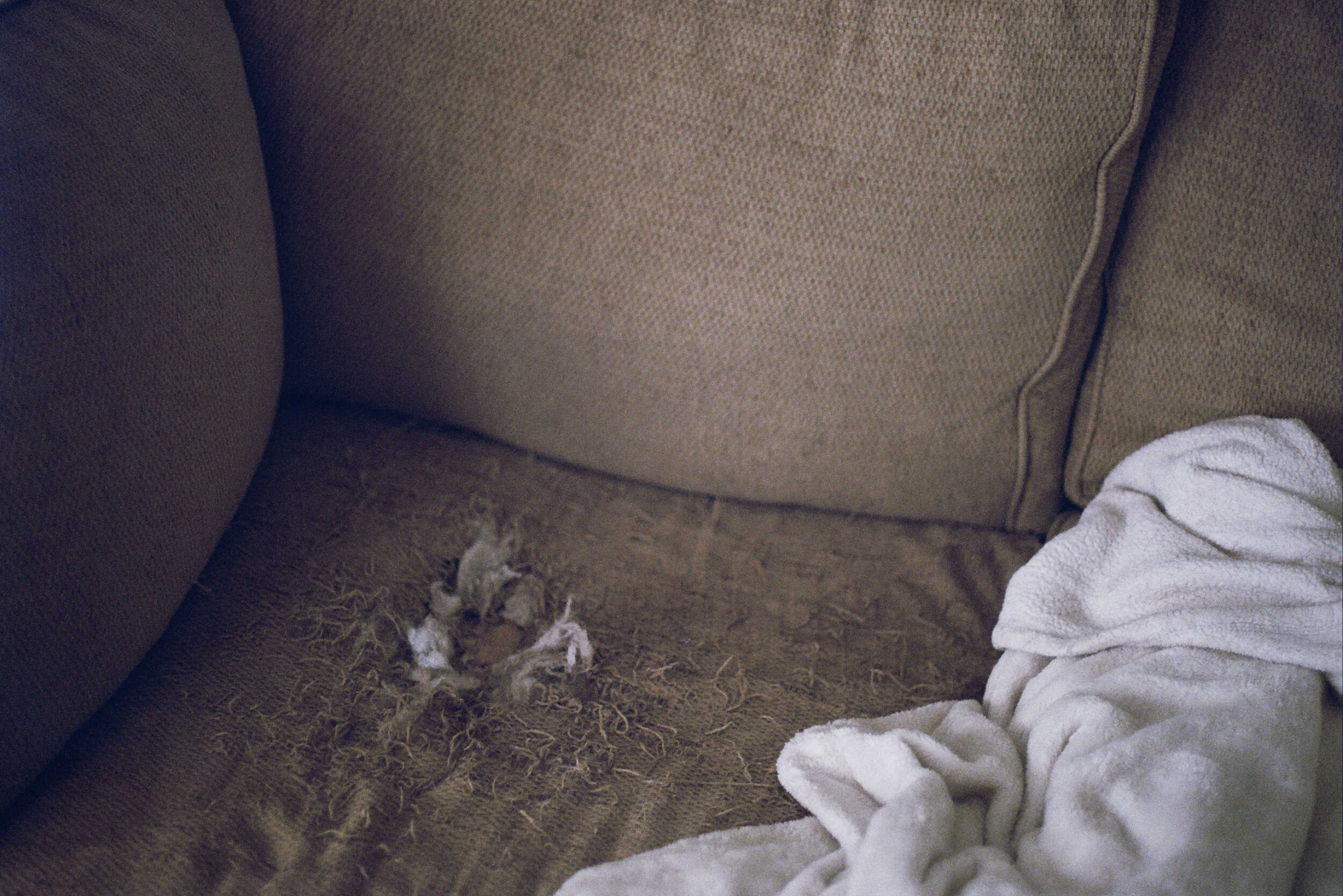 _18_0050.jpg